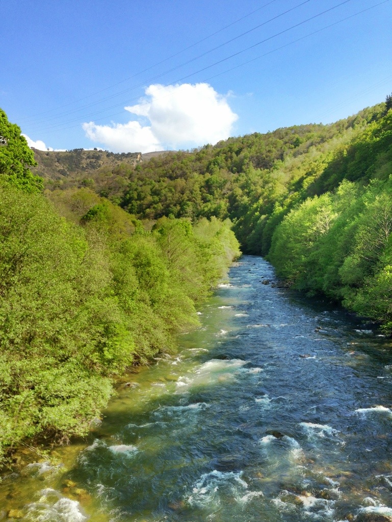 20130504-232956.jpg