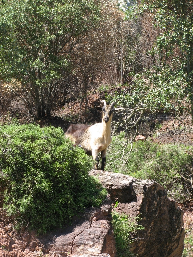 20130505-233237.jpg