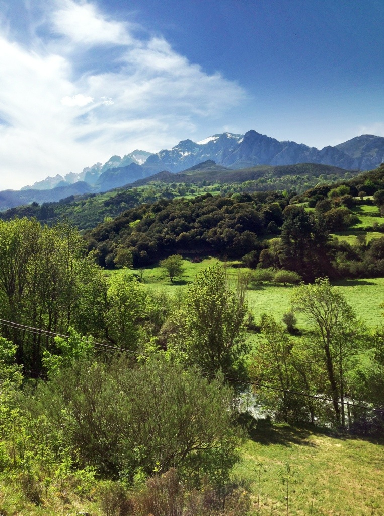 20130505-233941.jpg