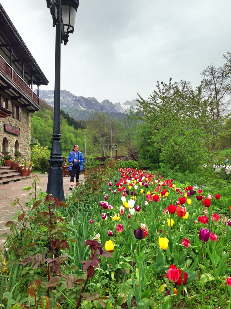 20130506-204457.jpg