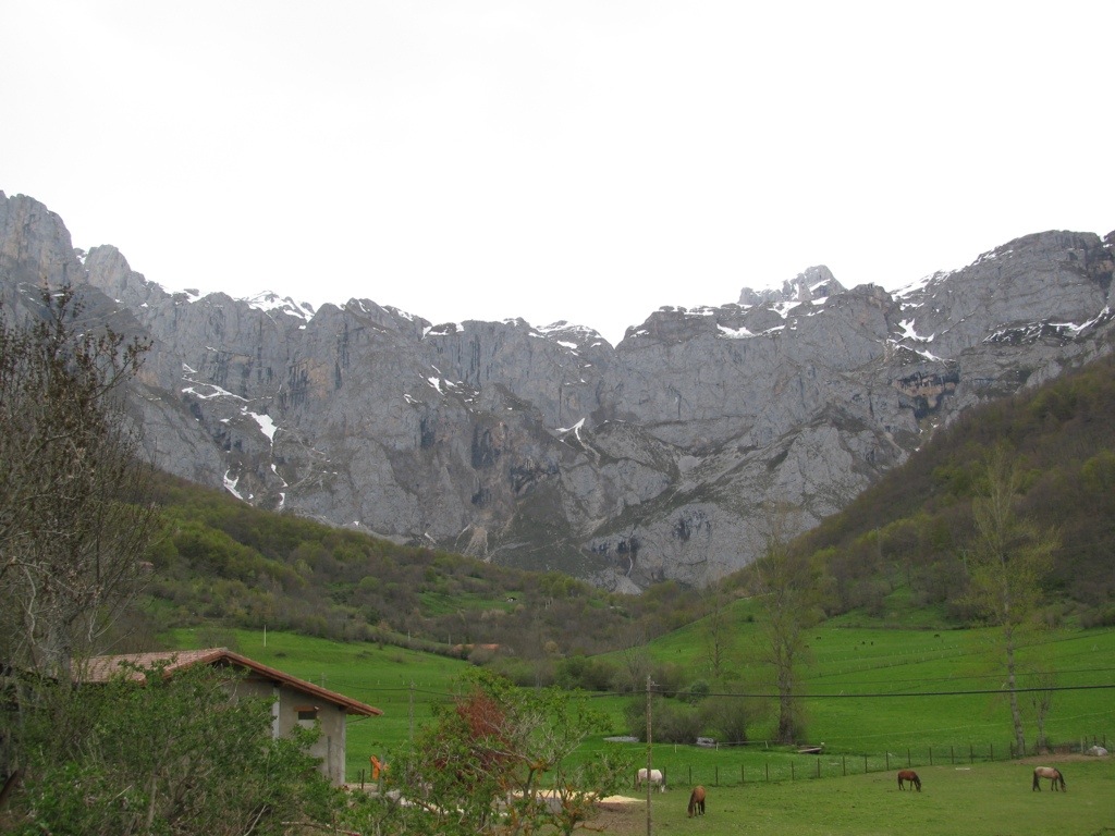 20130506-205643.jpg