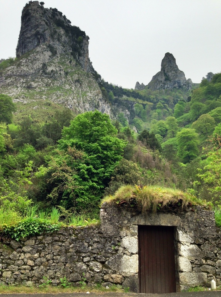20130507-200924.jpg