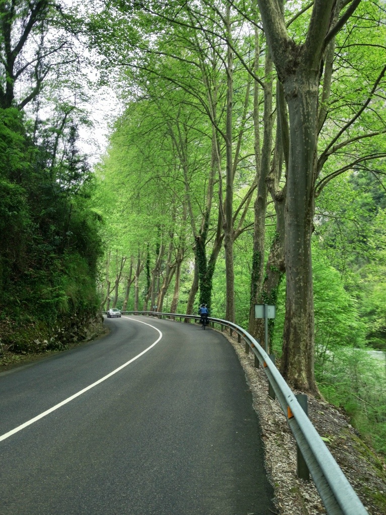 20130507-201308.jpg