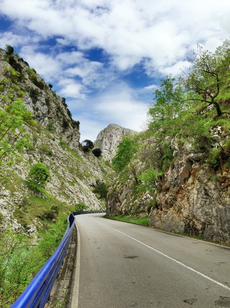 20130507-203700.jpg