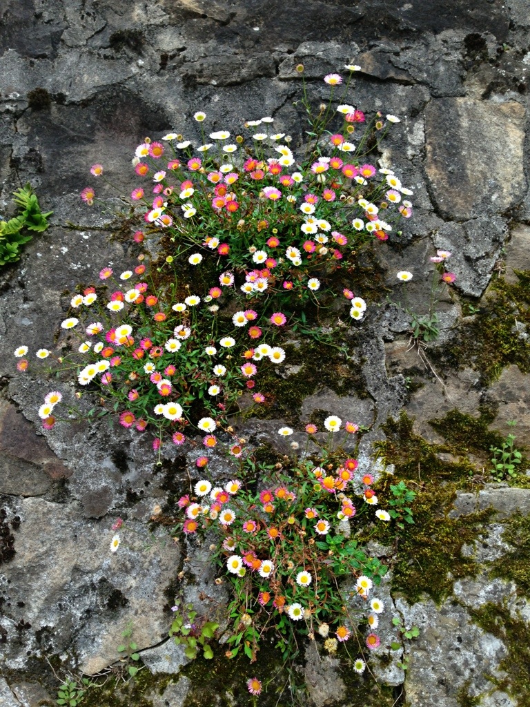20130507-204919.jpg