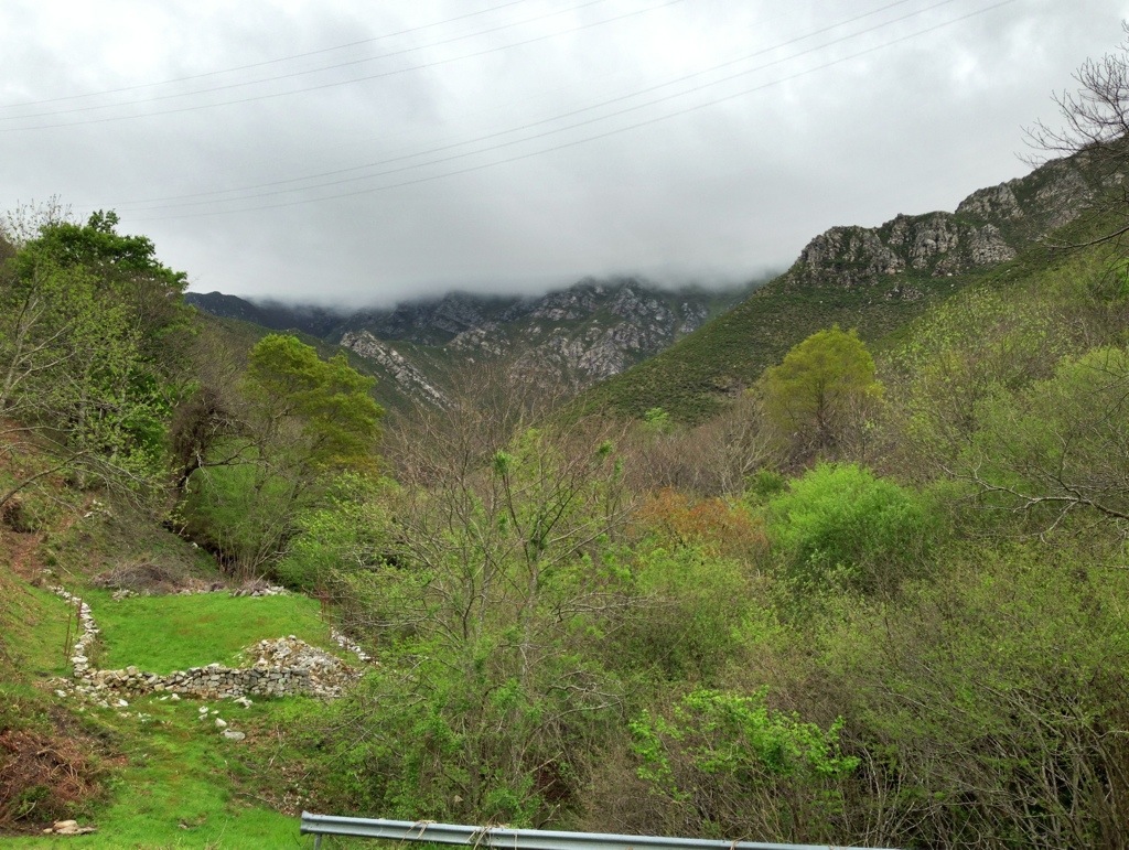 20130508-194037.jpg