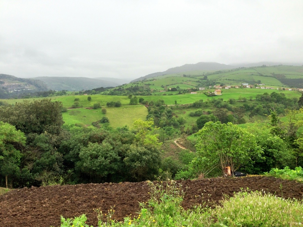 20130508-200109.jpg