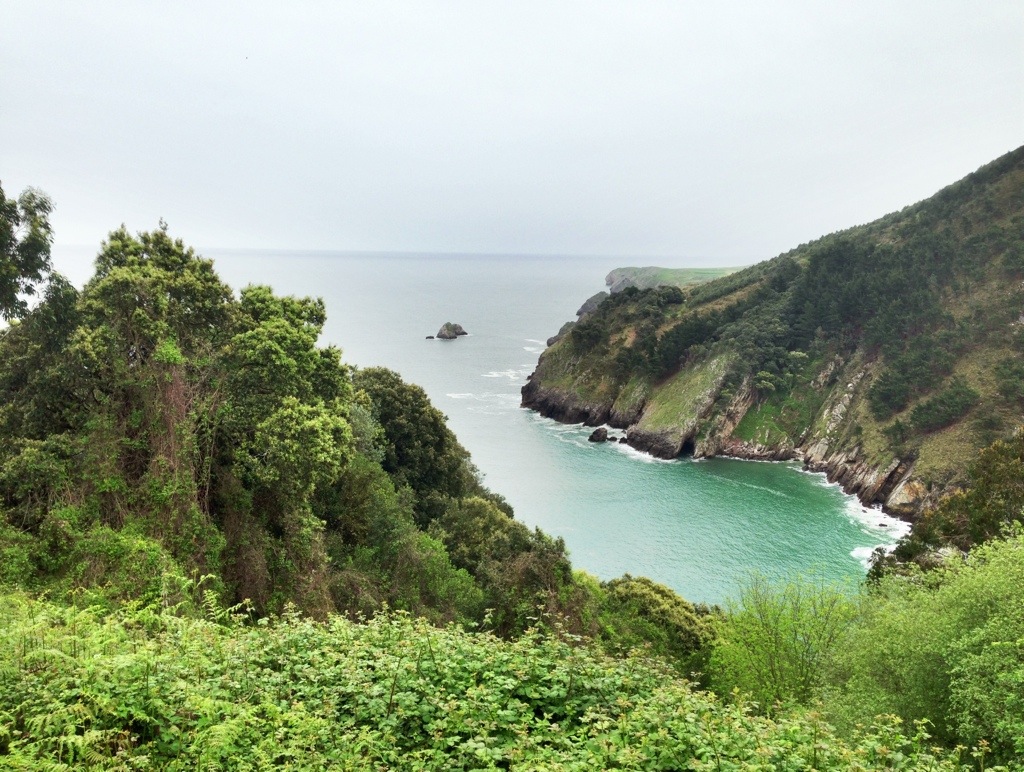 20130508-200235.jpg