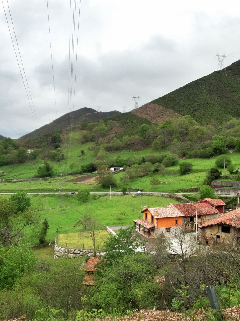 20130508-201834.jpg