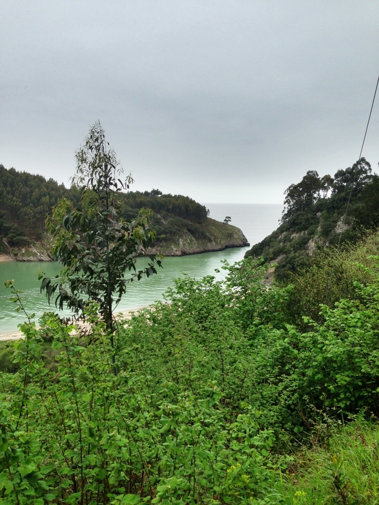 20130508-203223.jpg