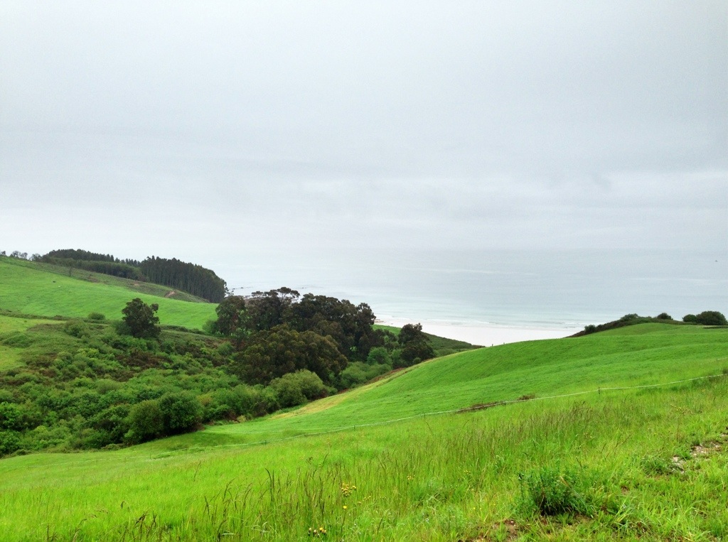 20130509-203456.jpg