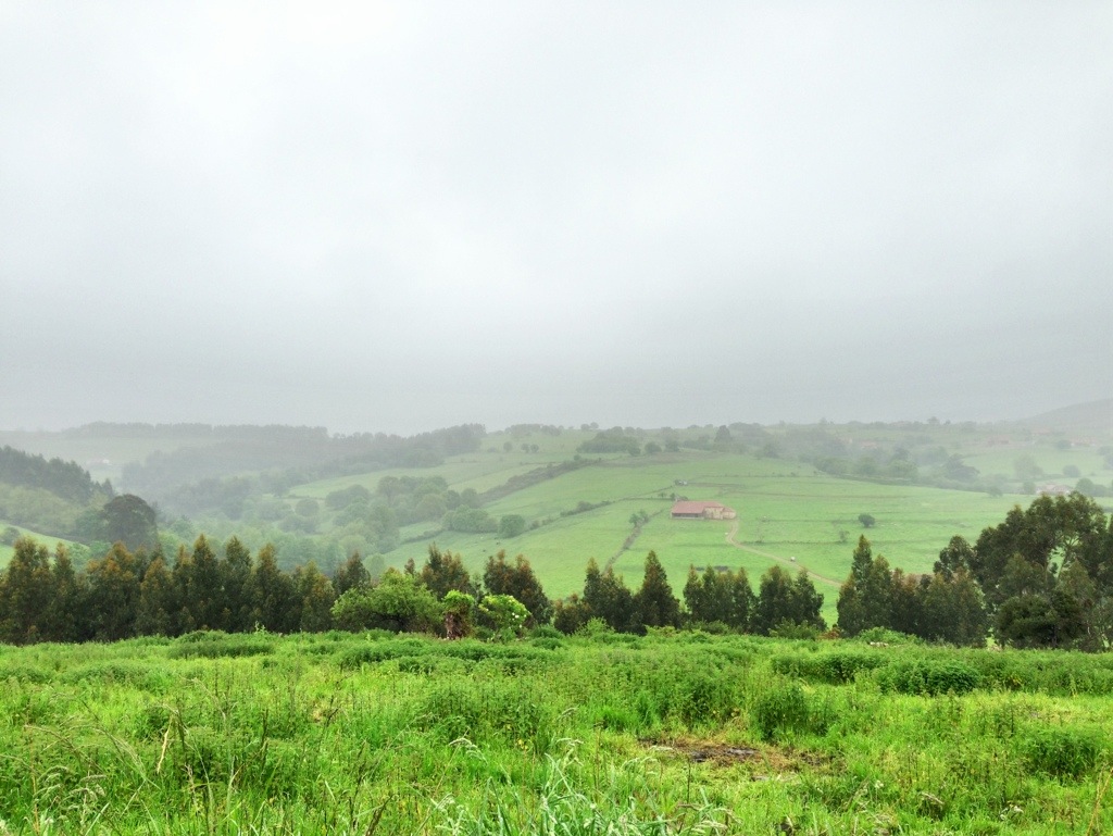 20130509-203509.jpg