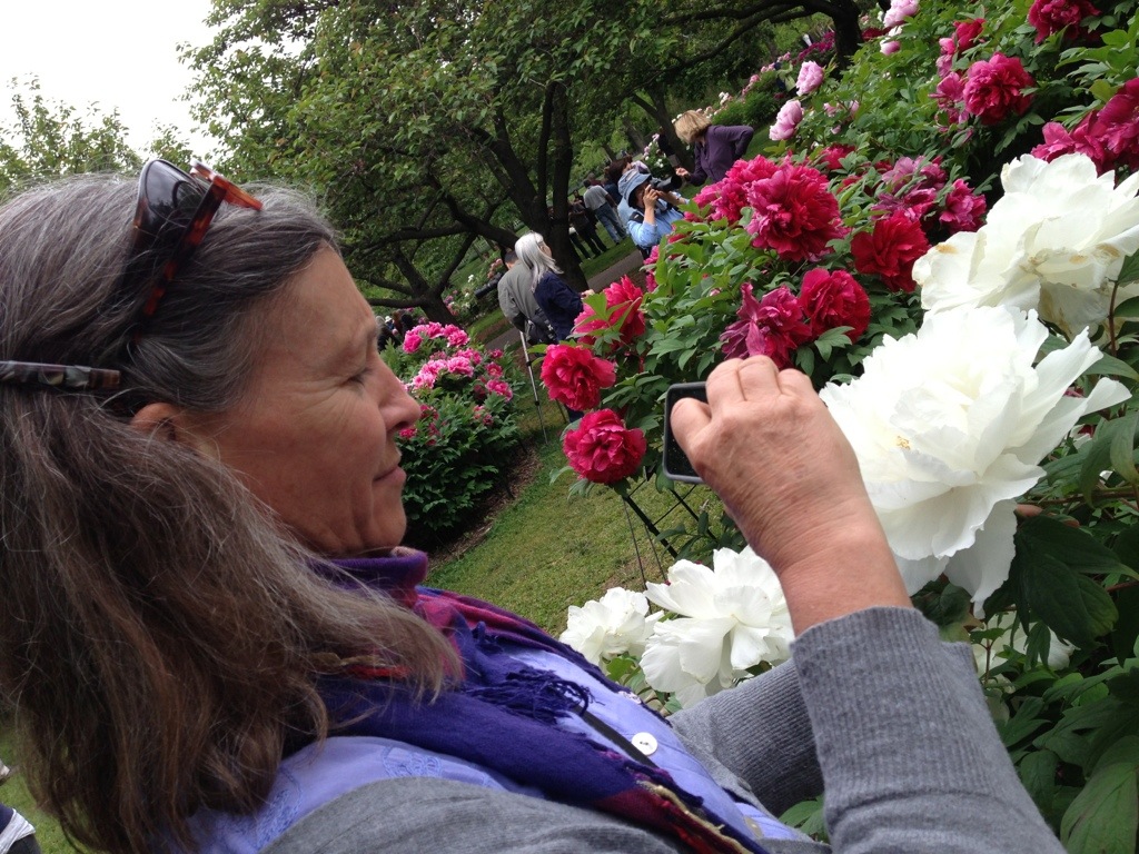 20130519-081709.jpg