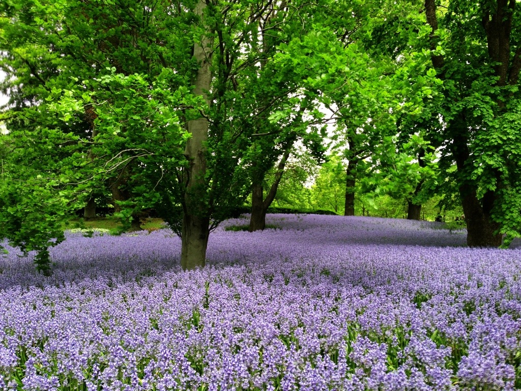 20130519-081806.jpg
