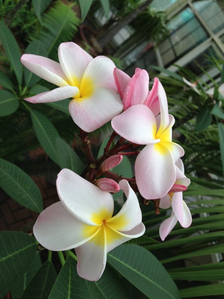 20130519-081835.jpg