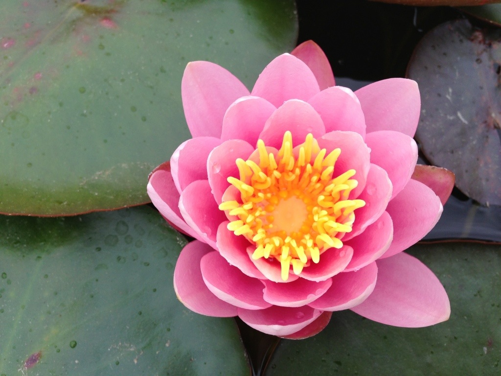 20130519-081900.jpg