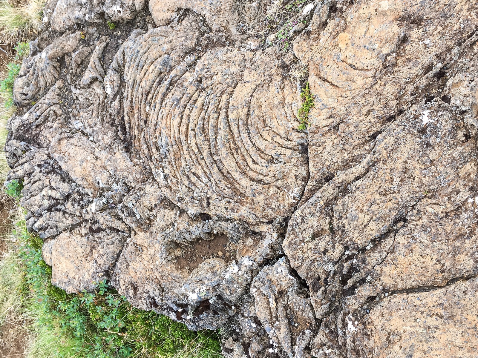 ancient lava flow