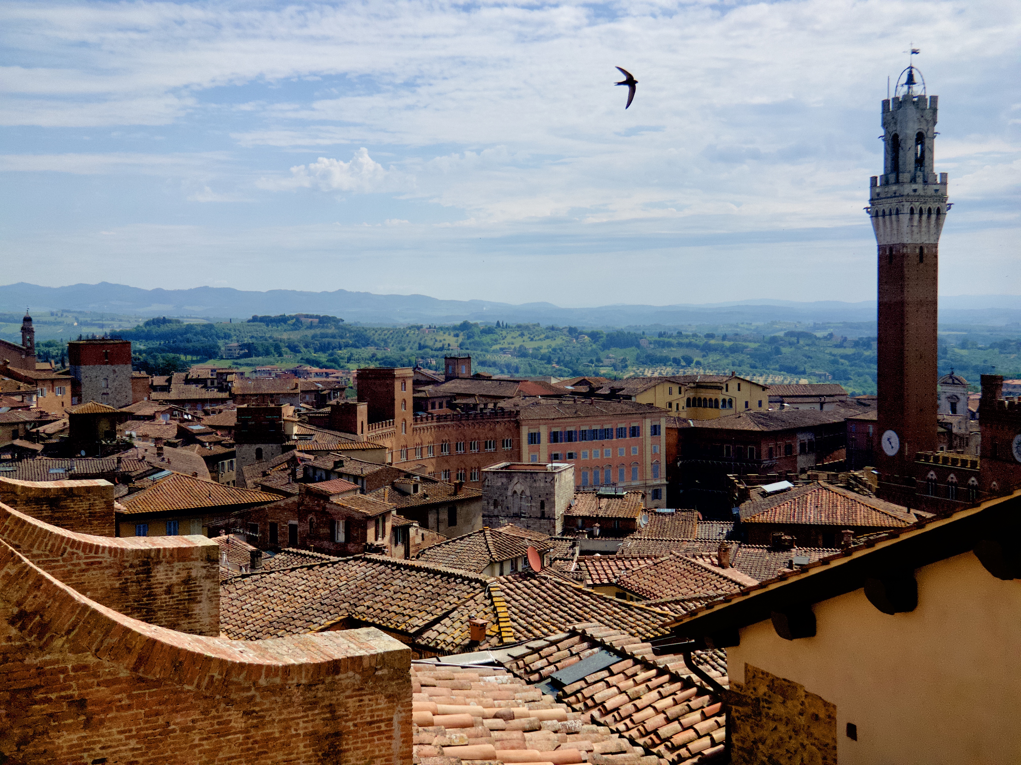 The view from the roof of the duomo