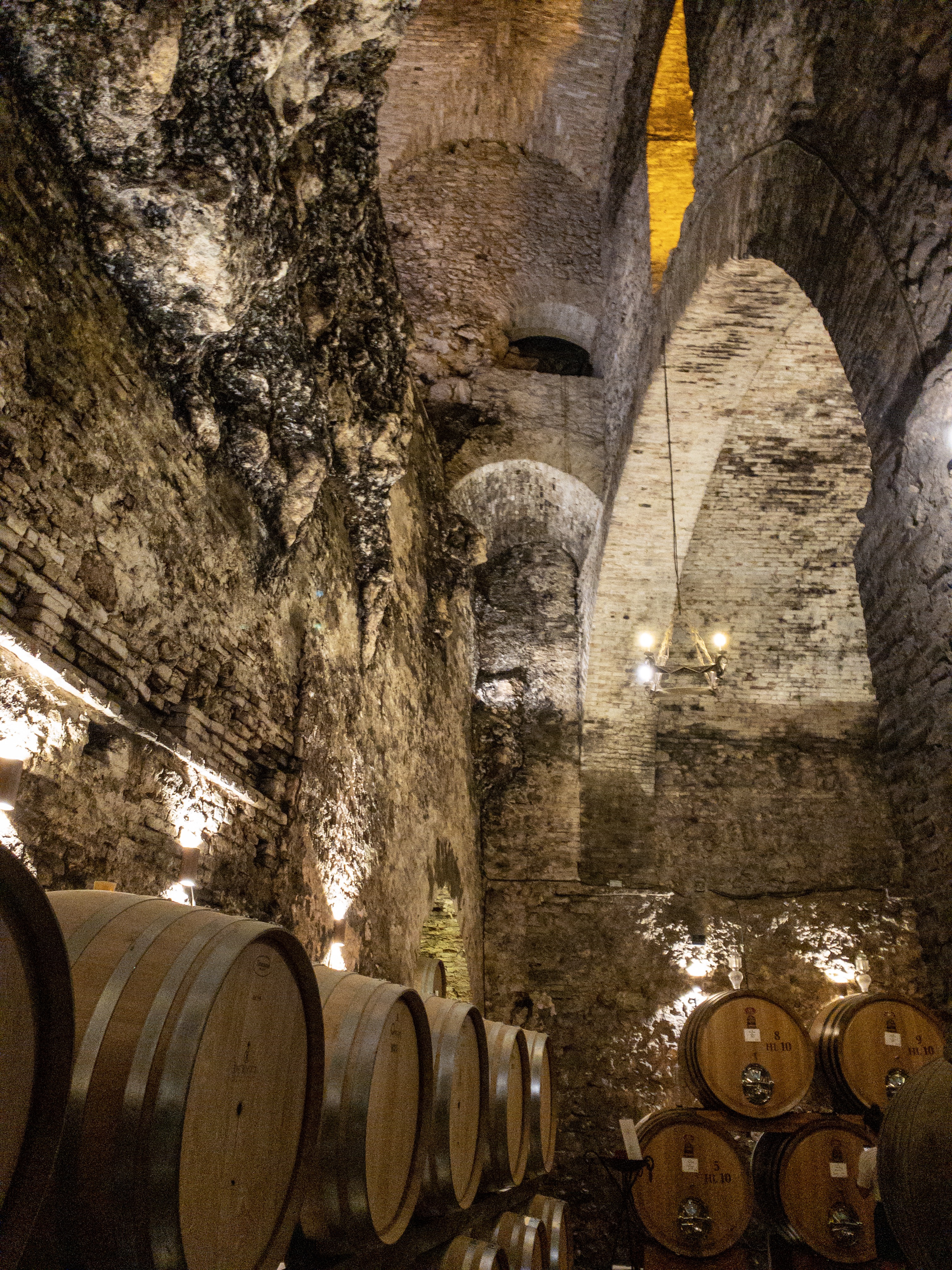 Wine cellar in Montepulciano