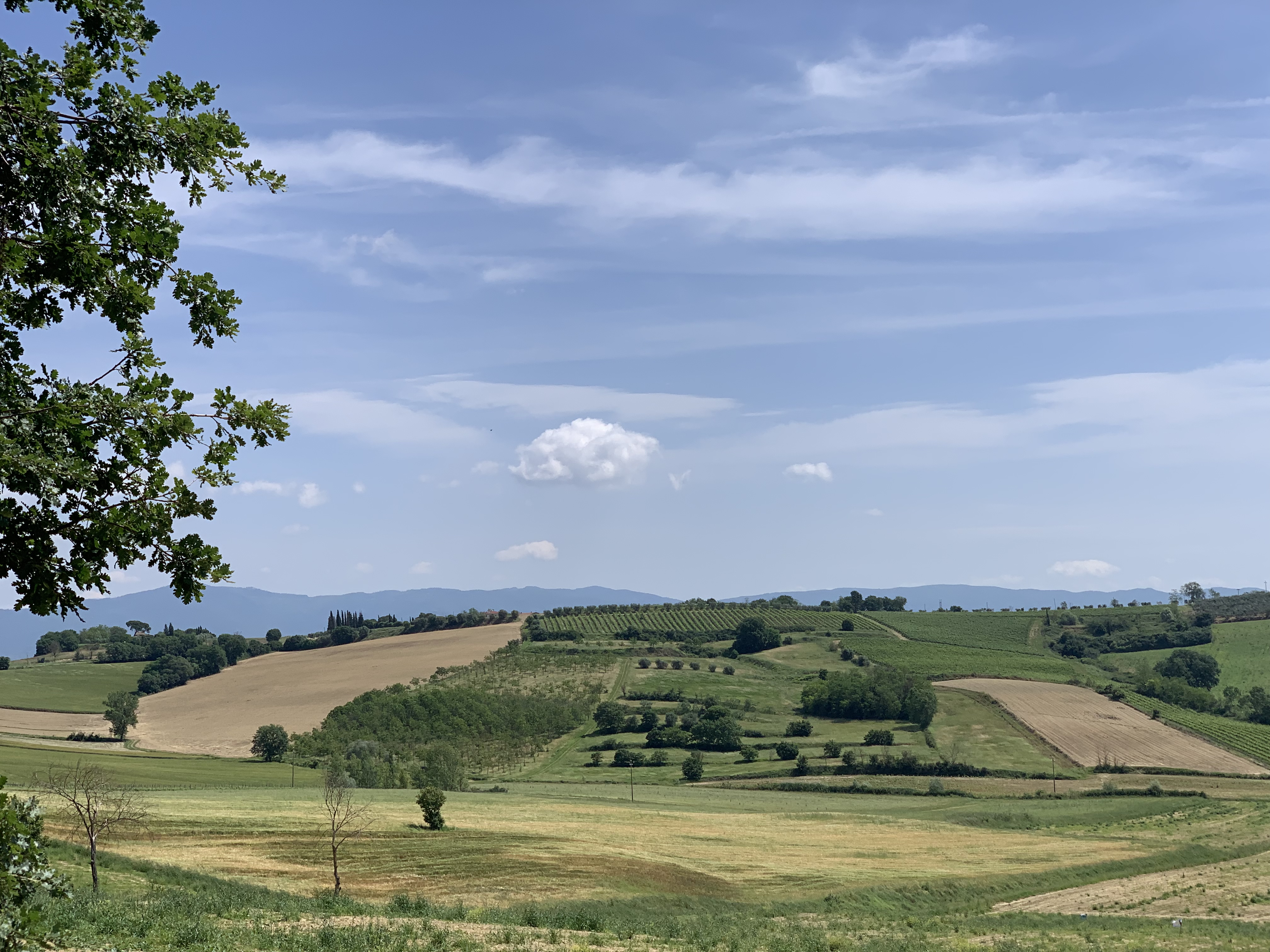 Idyllic Italian countryside