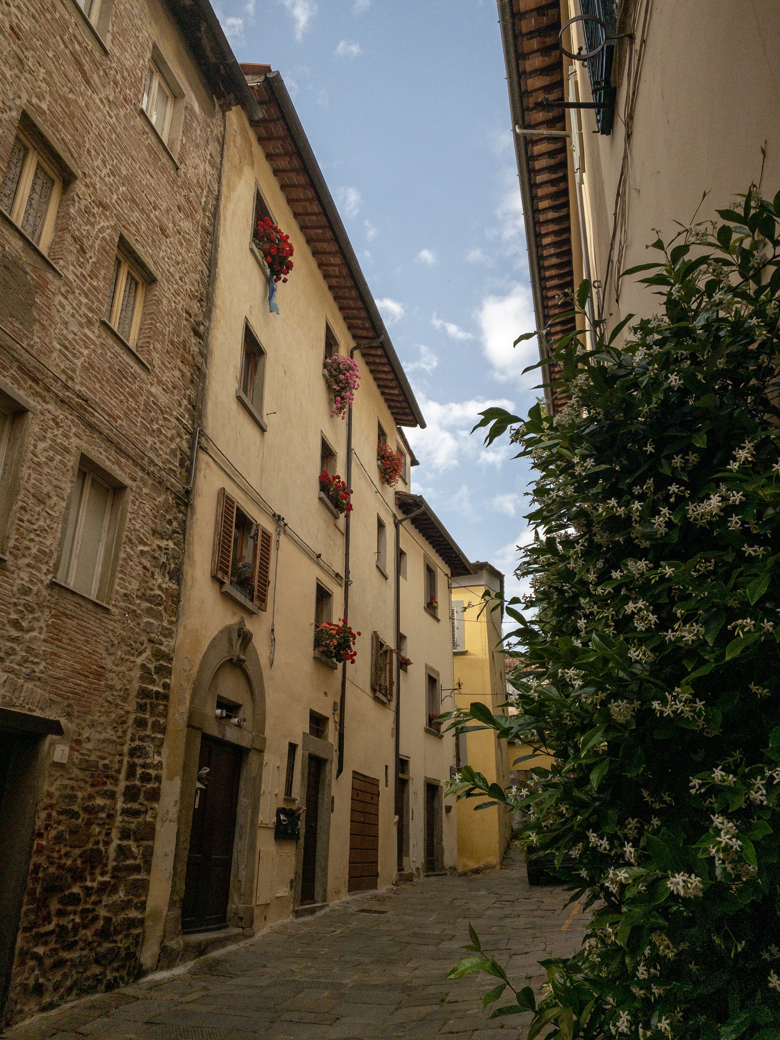 Arezzo alley with flowers
