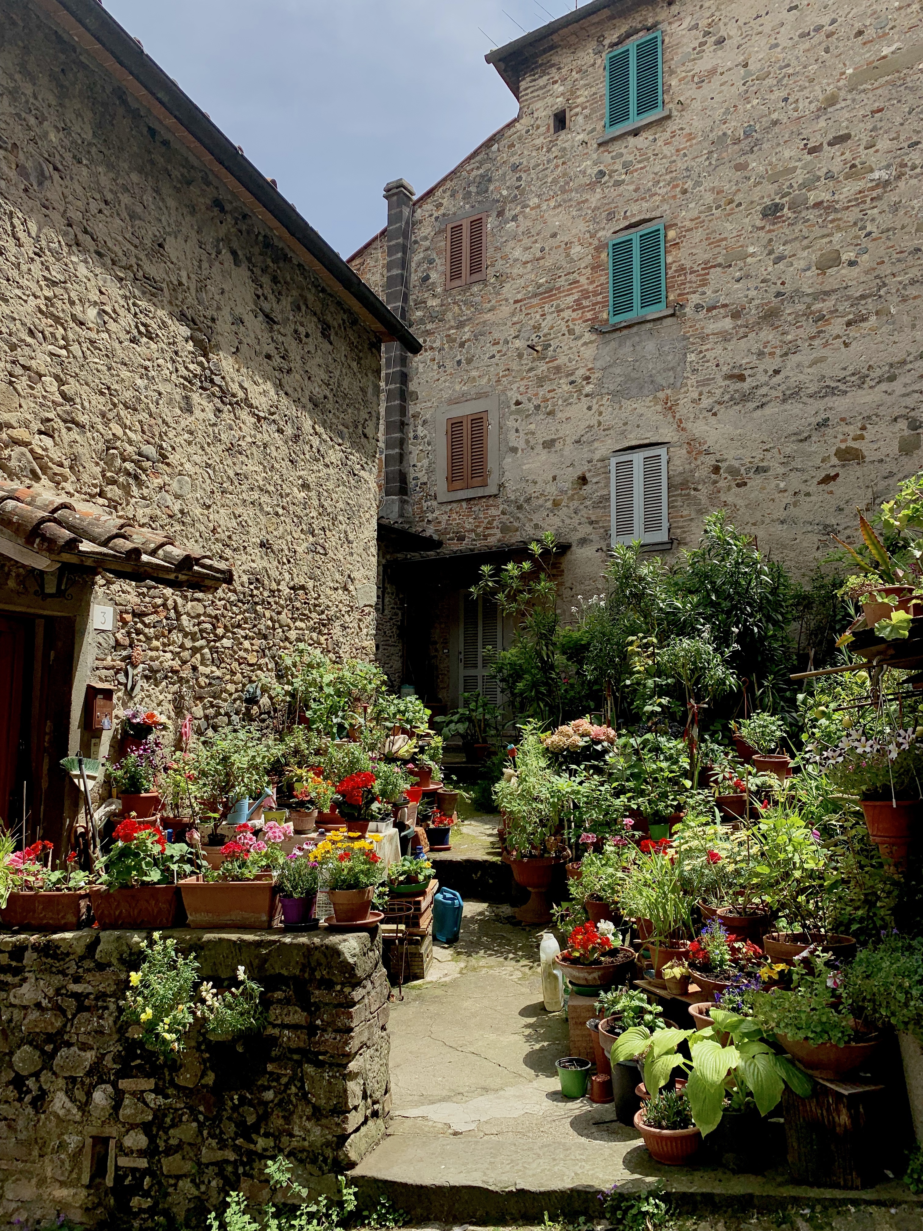 Flowers surrounding a centuries-old dwelling