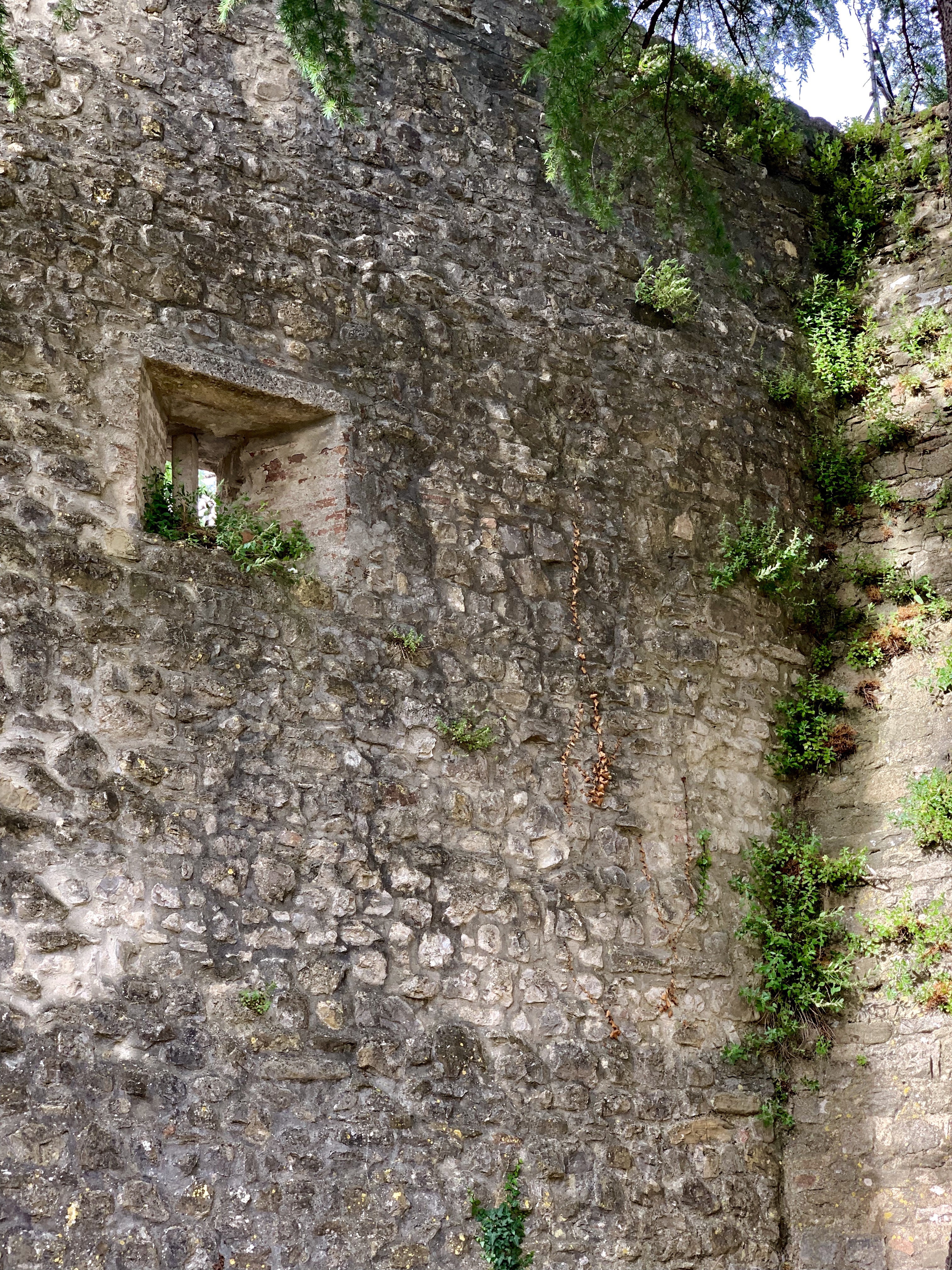 Medieval wall in Montone