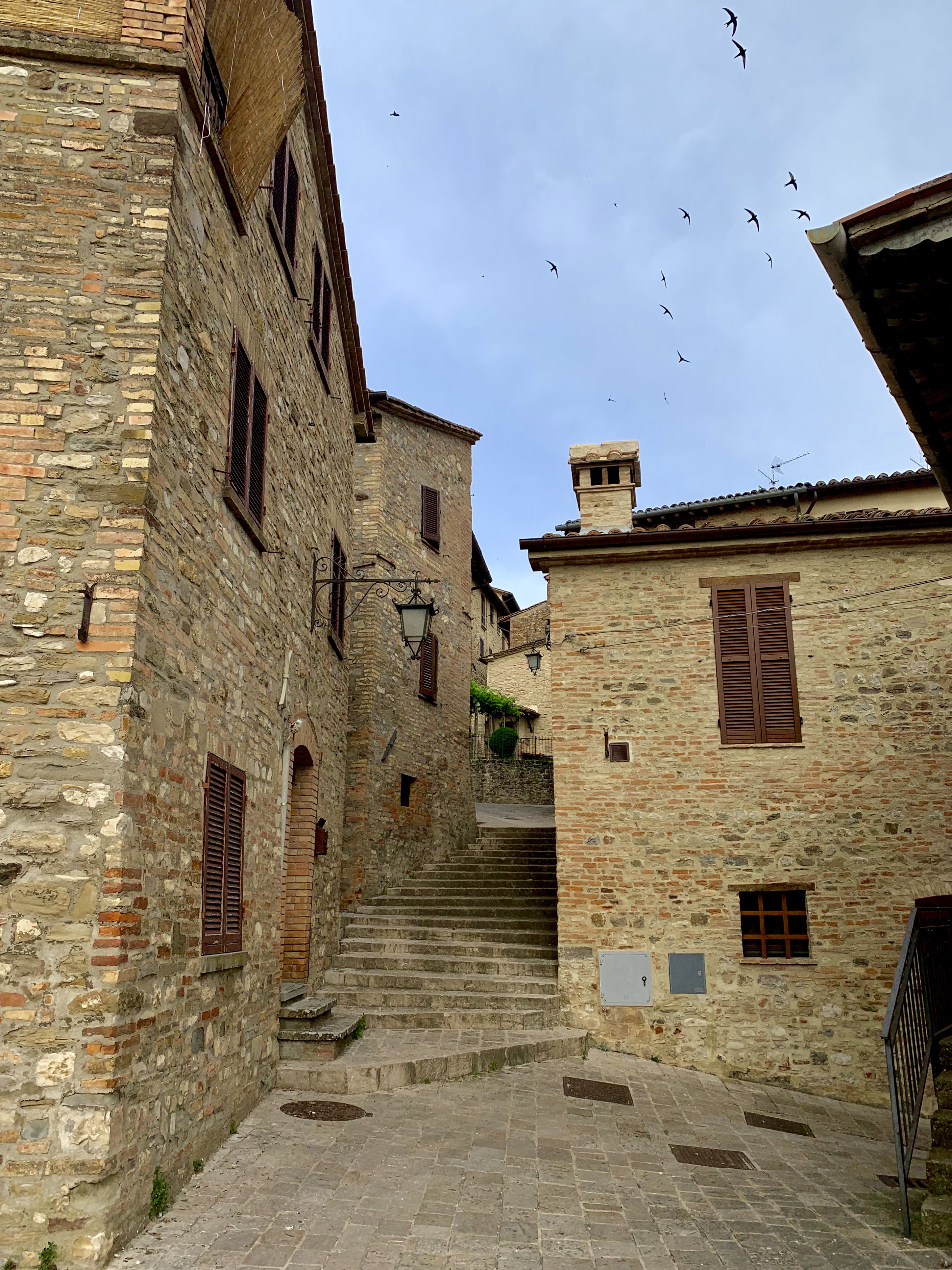 Stone buildings and swallows swarming