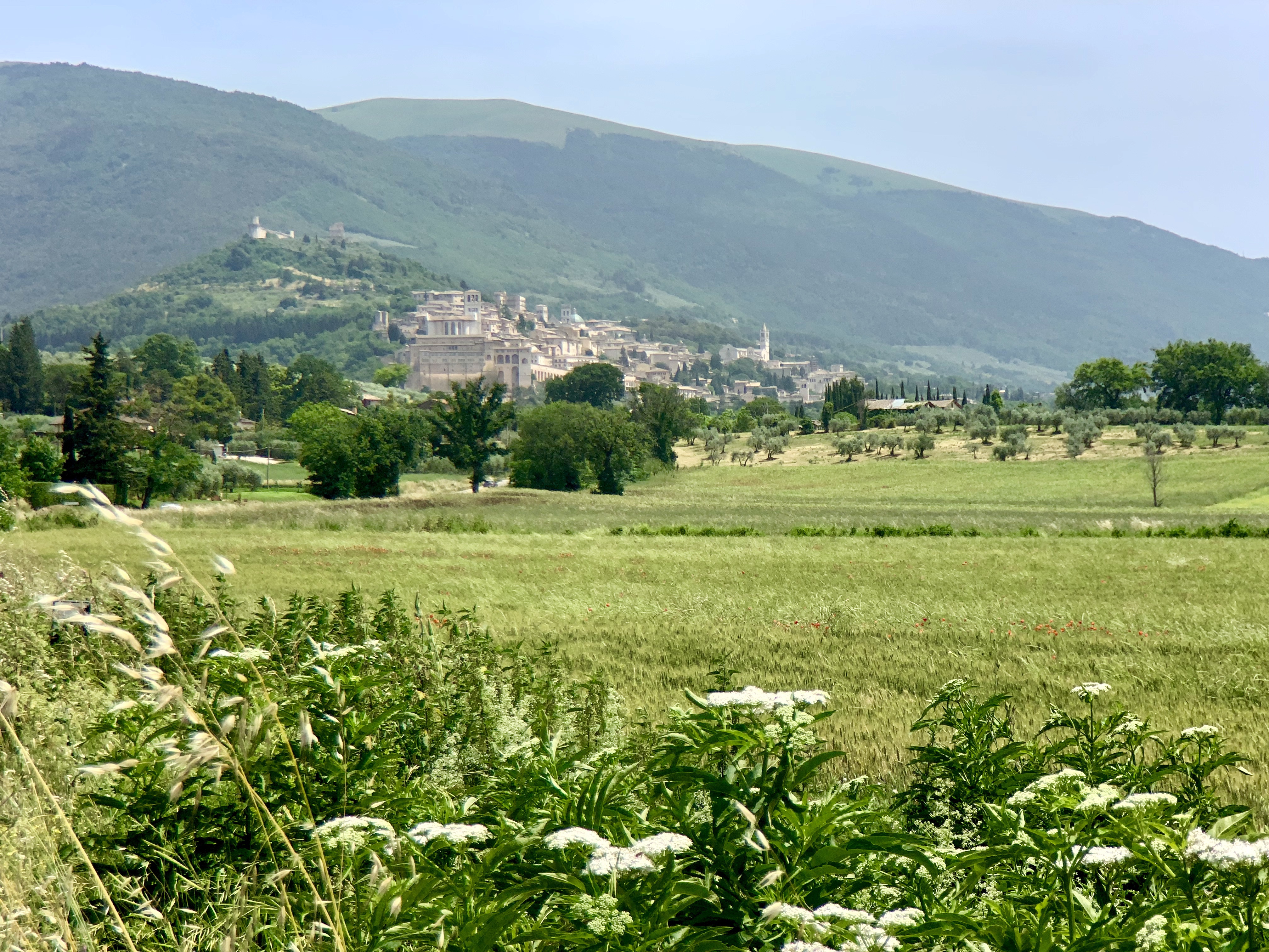 Assisi coming into view