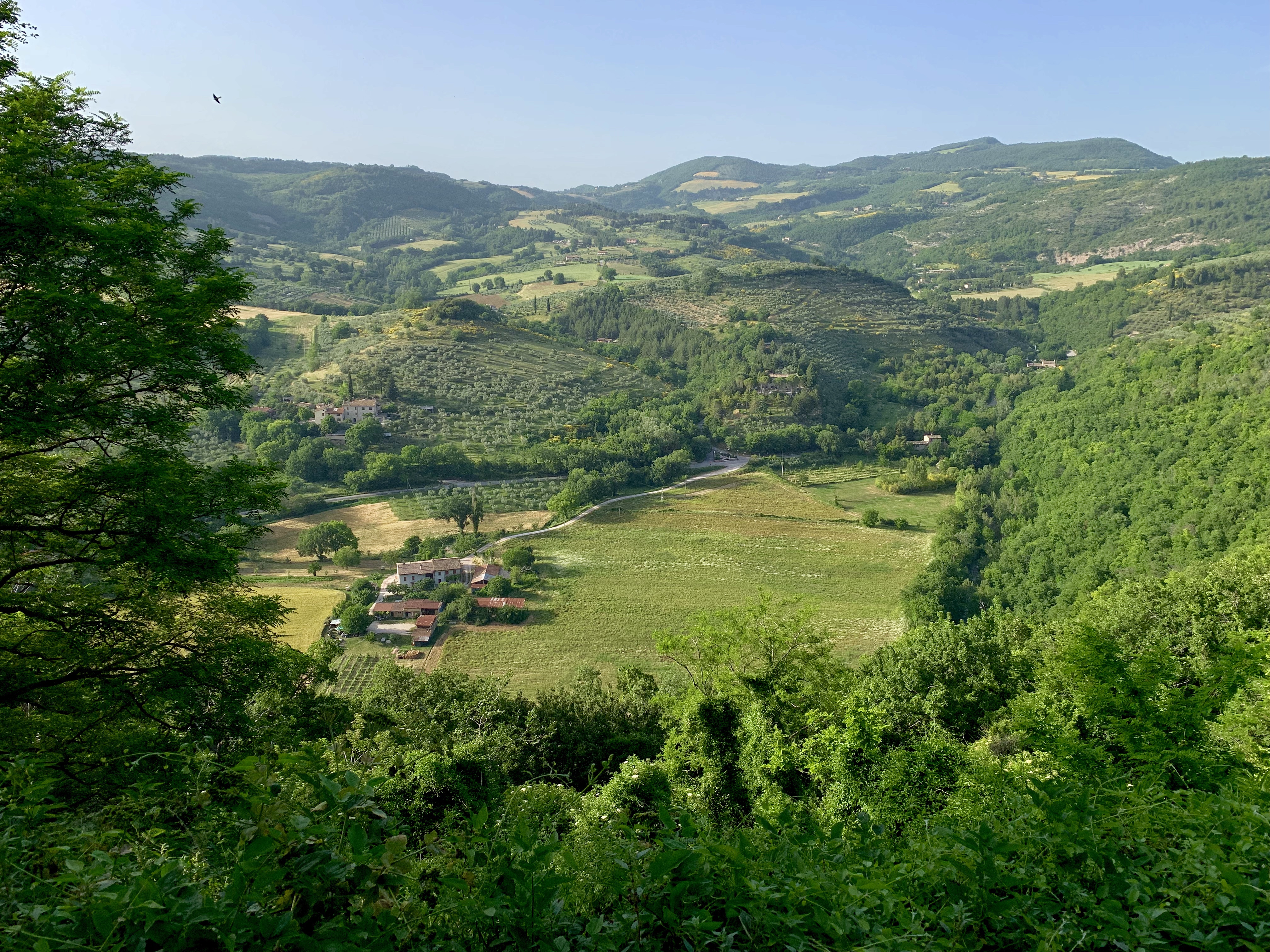 Looking down into the valley