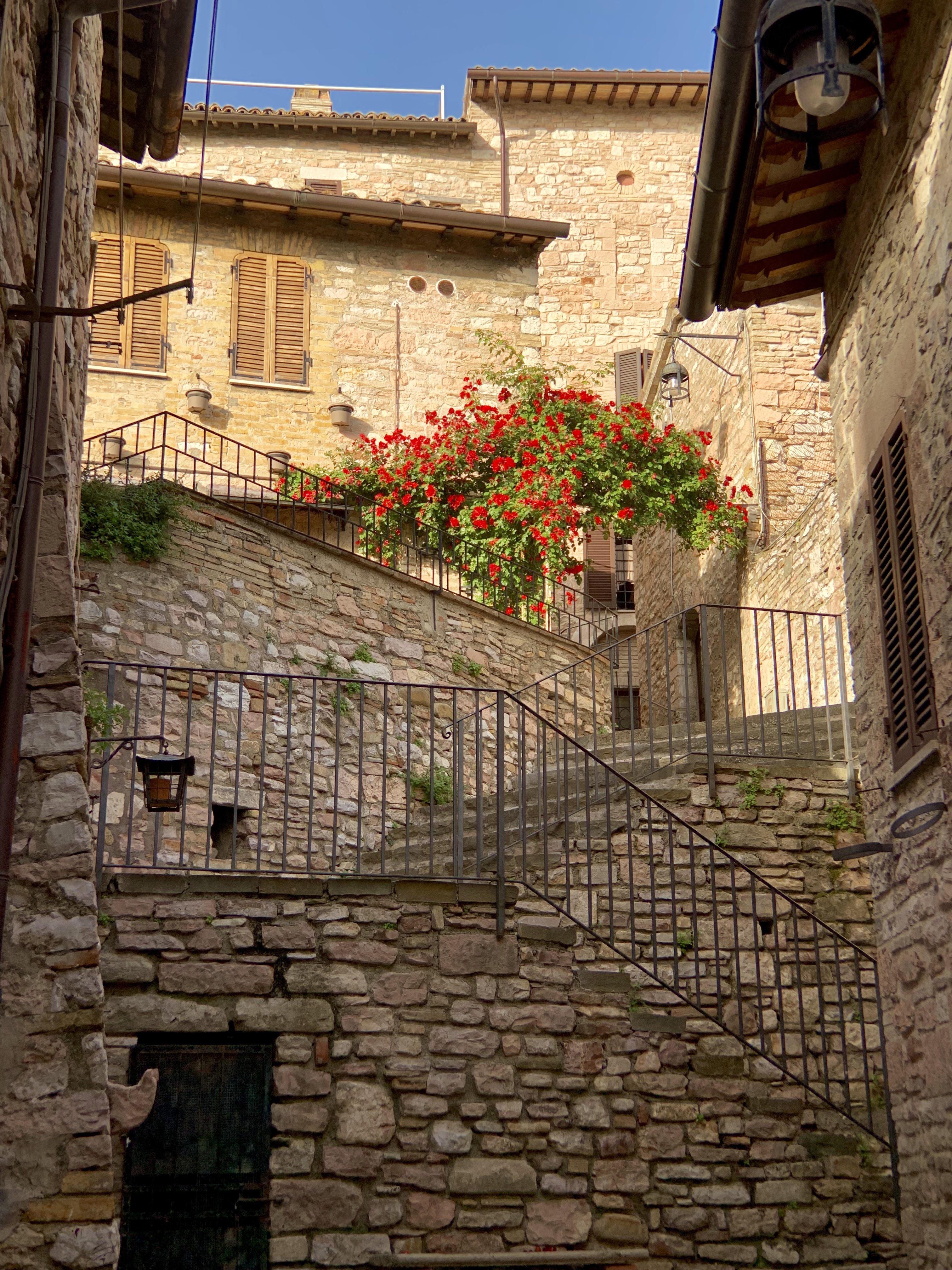 Golden walls, lots of steps, and a bougainvillea