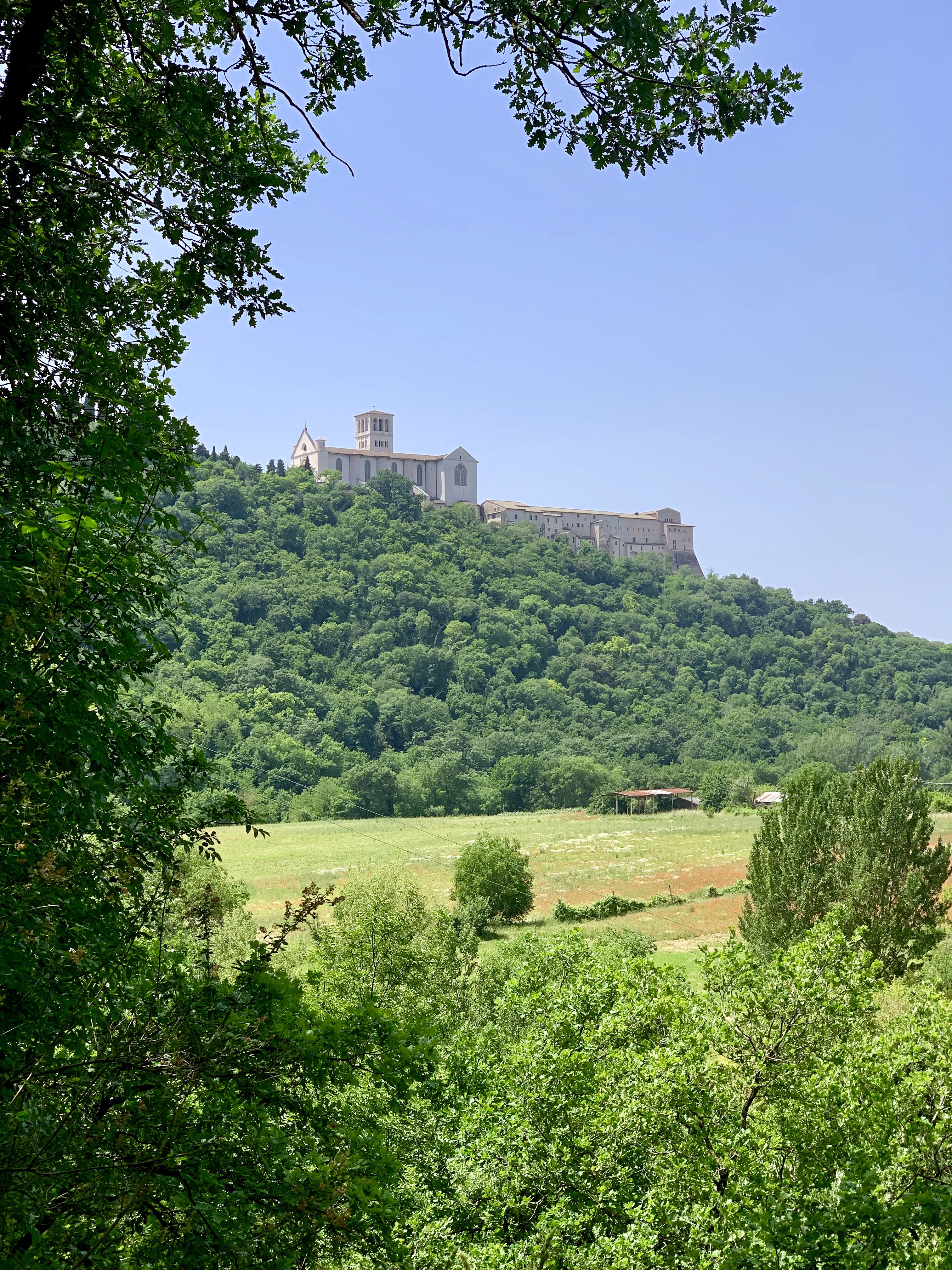 The Basilica of St. Francis, from his forest below