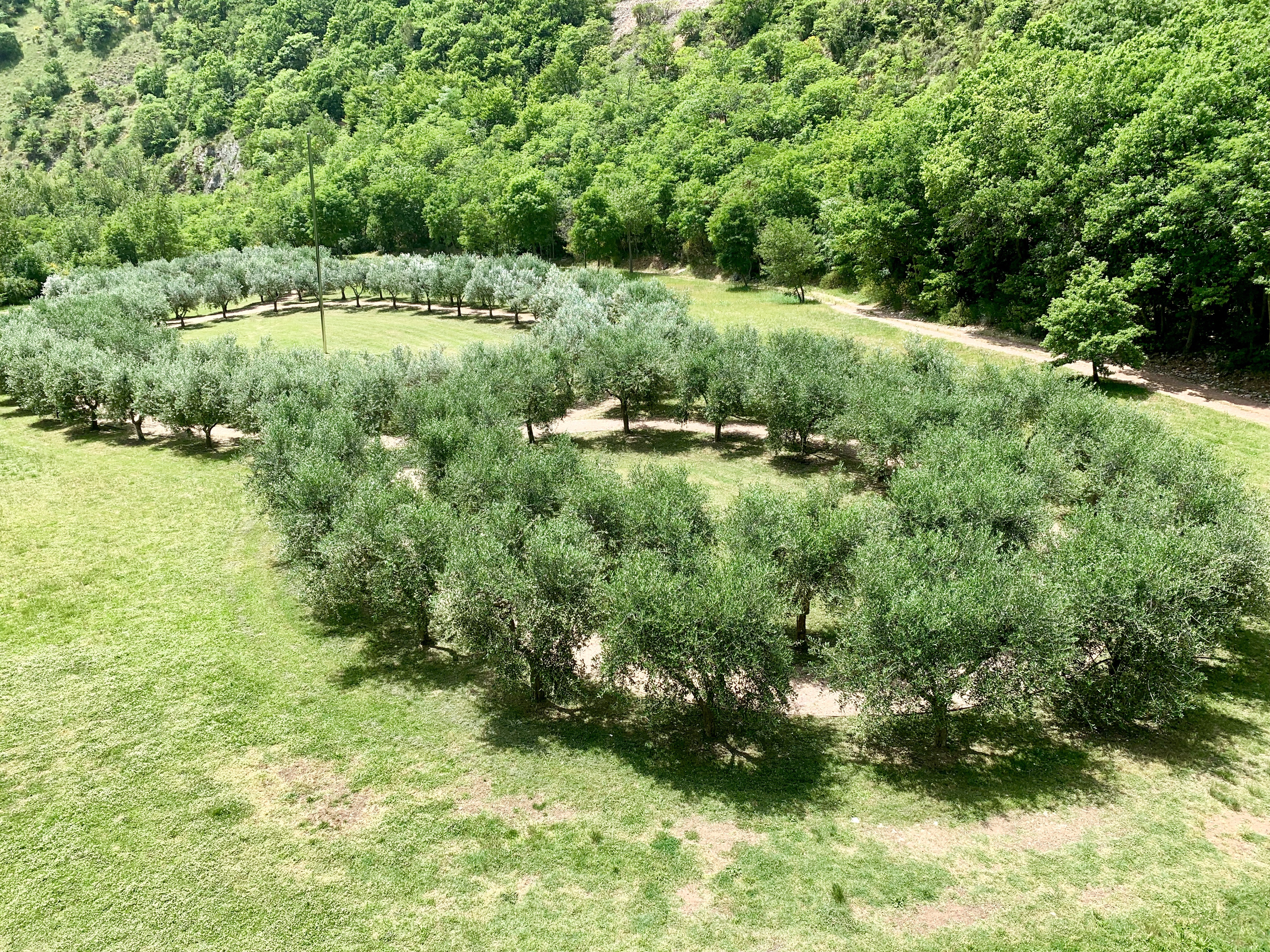 View of the Third Paradise from the top of the tower