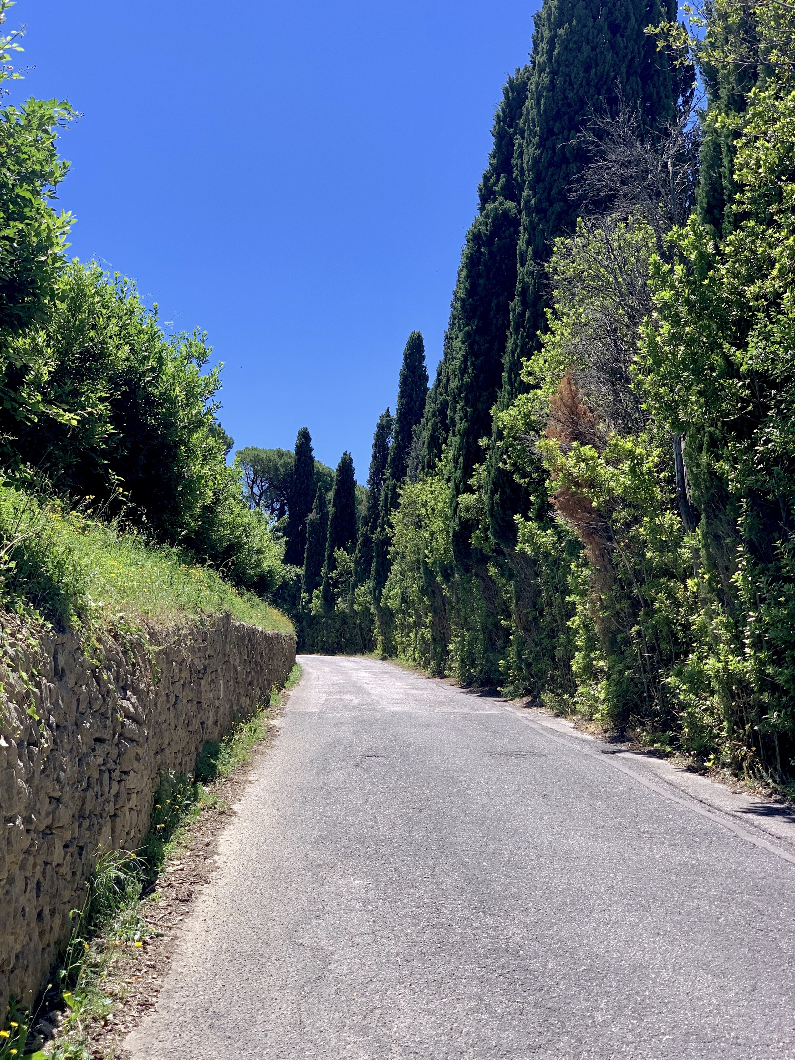 Blinding blue sky over typical Italian back-road