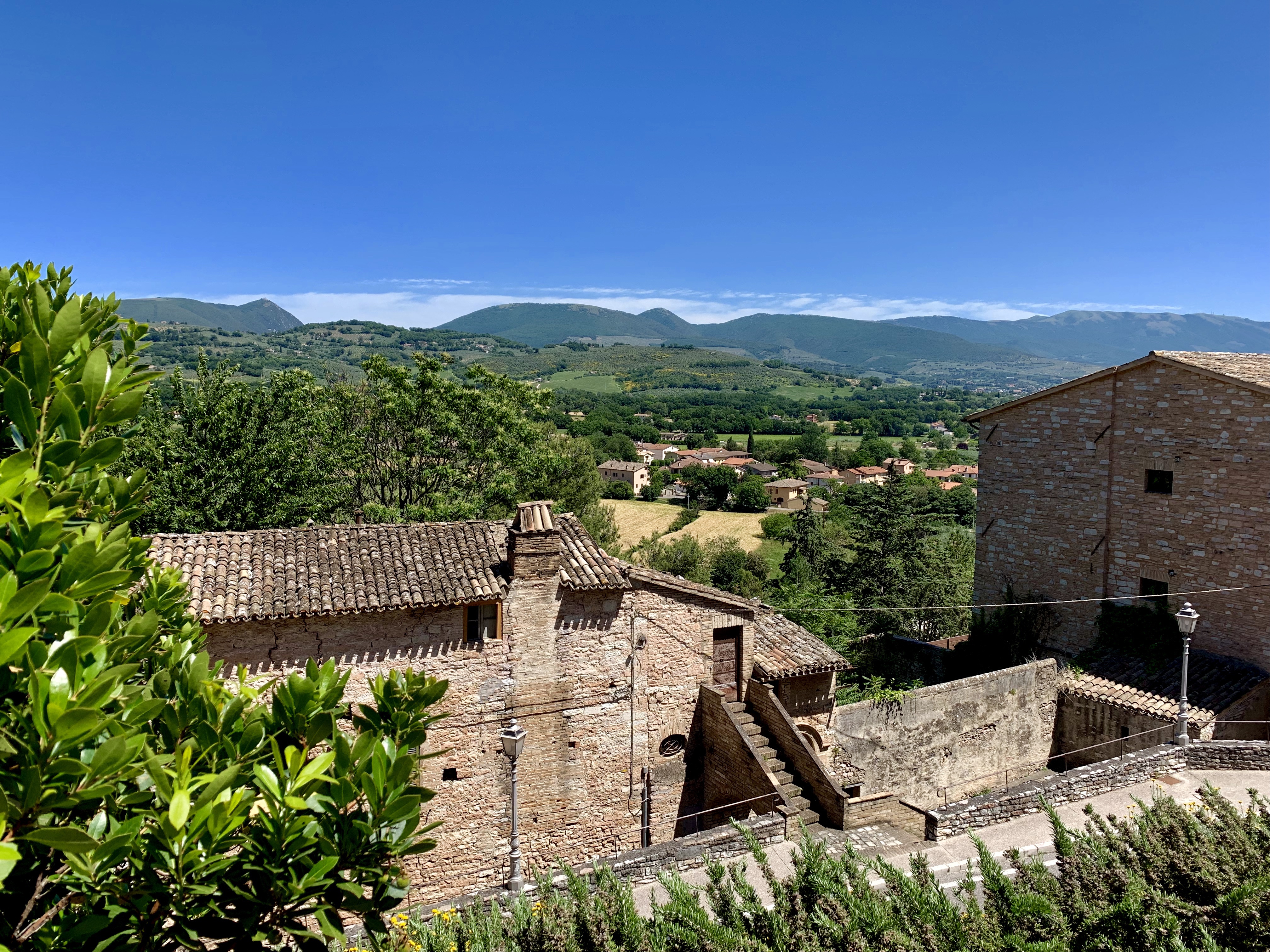The view from the lunch spot we visited in the hill town of Spello
