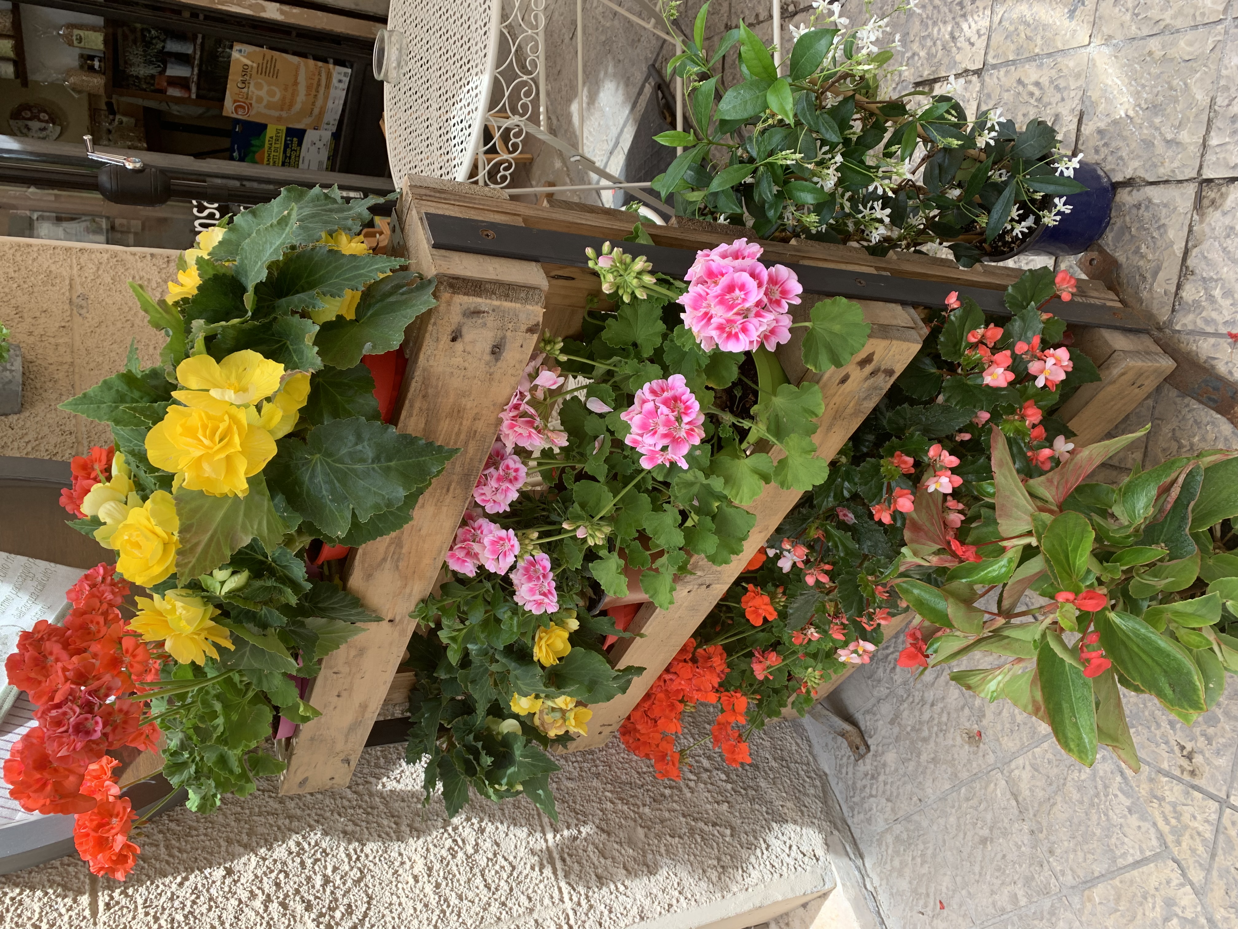 Flowers, flowers and more flowers!