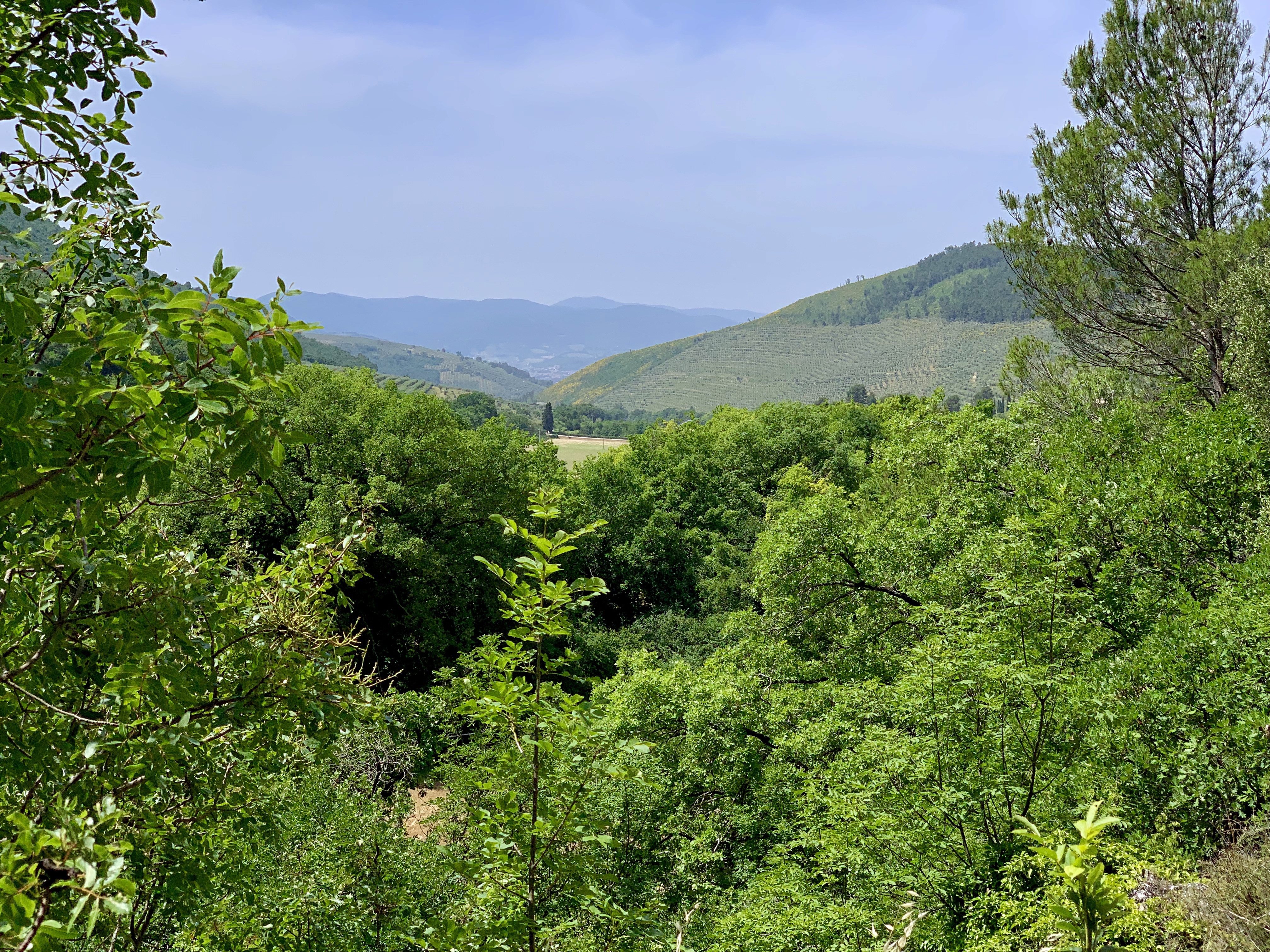 The view back down the valley as we near the top of our climb