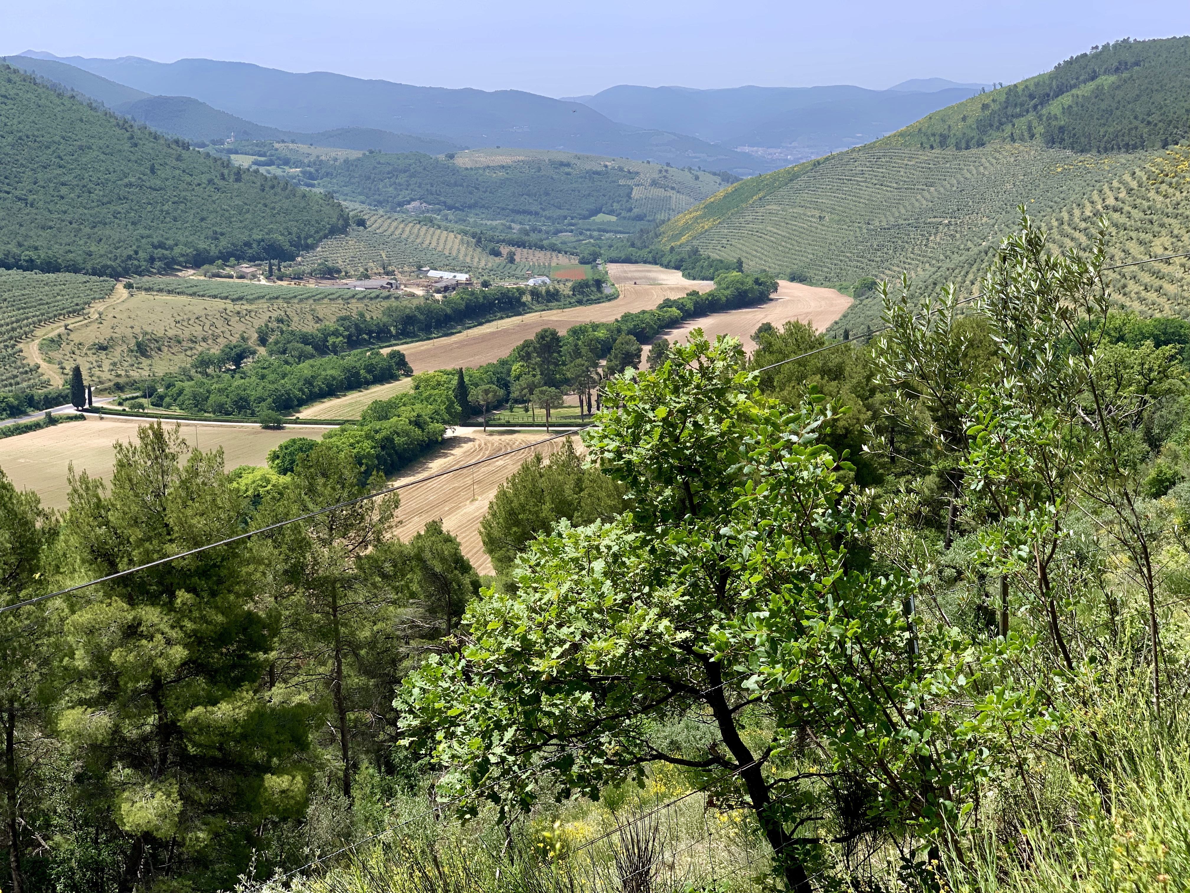 Incredible view of the valley from the top
