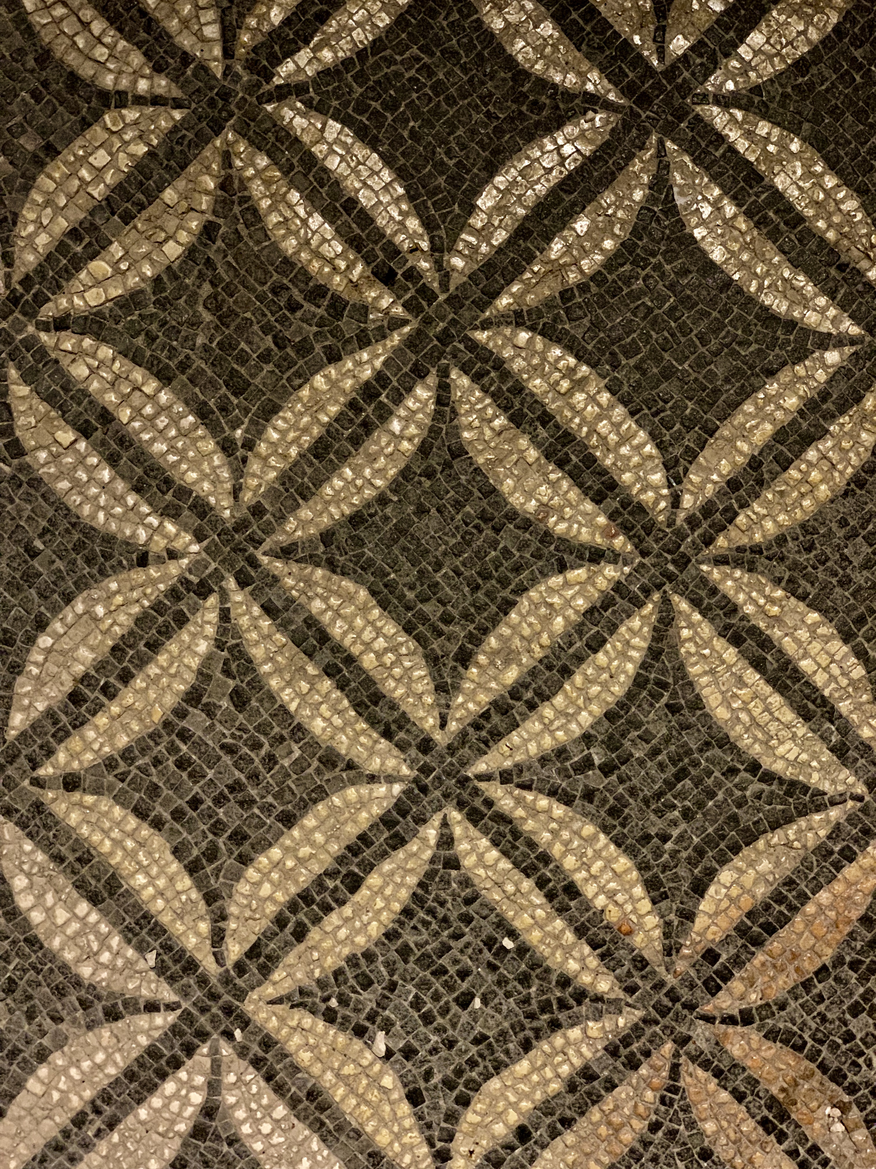 Roman mosaics