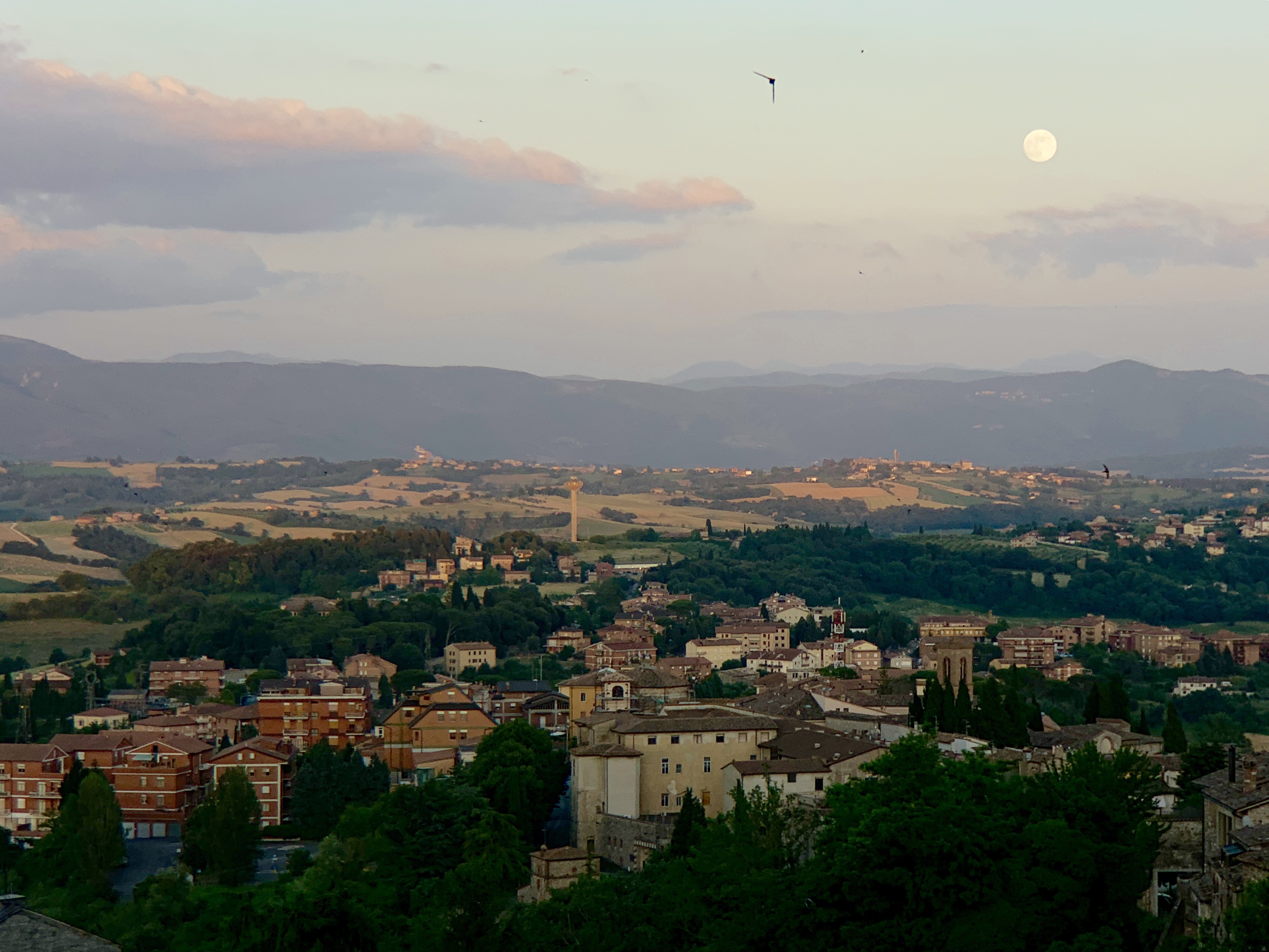 The full moon rising over the sunset view