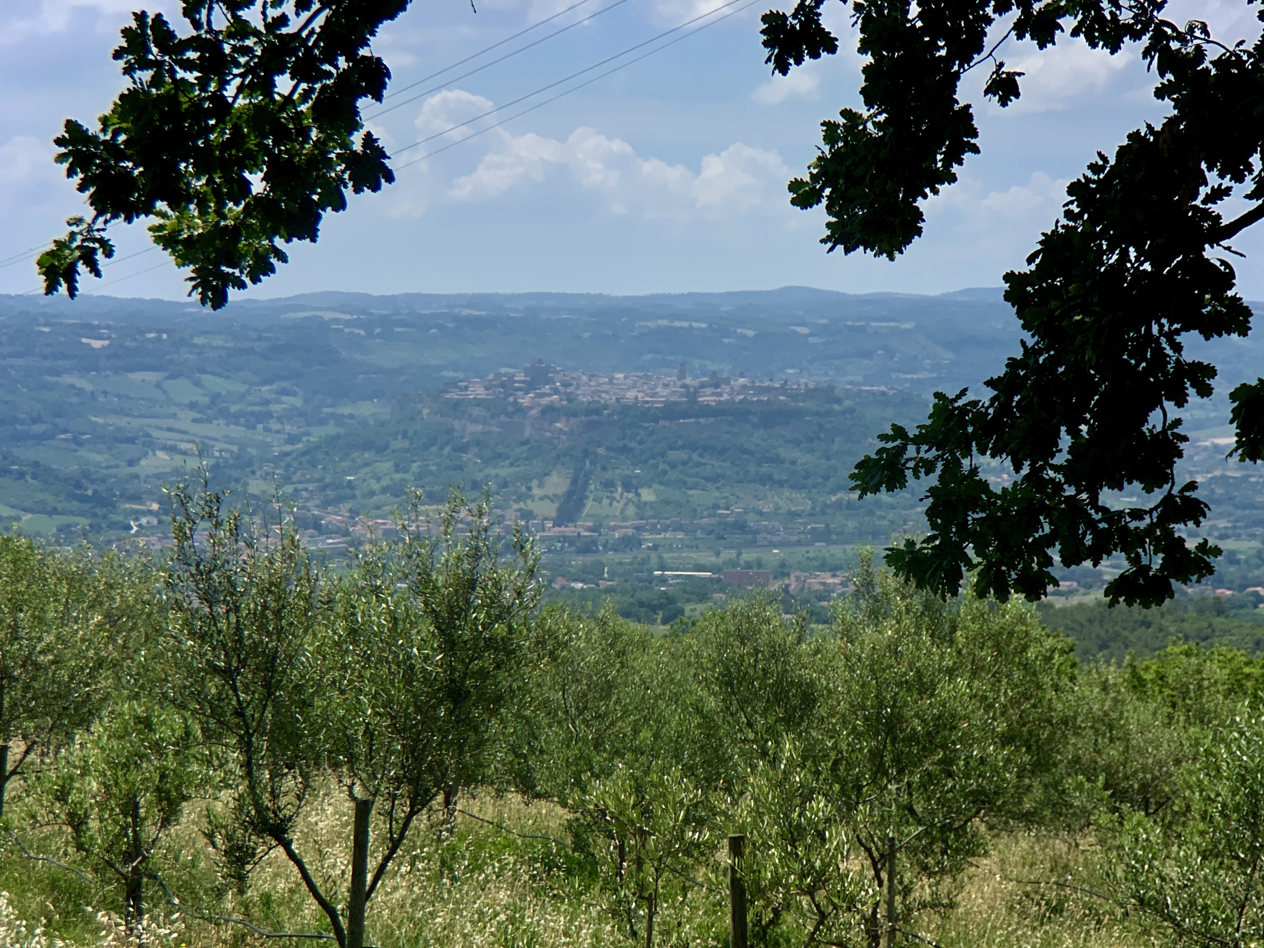 Orvieto in the distance