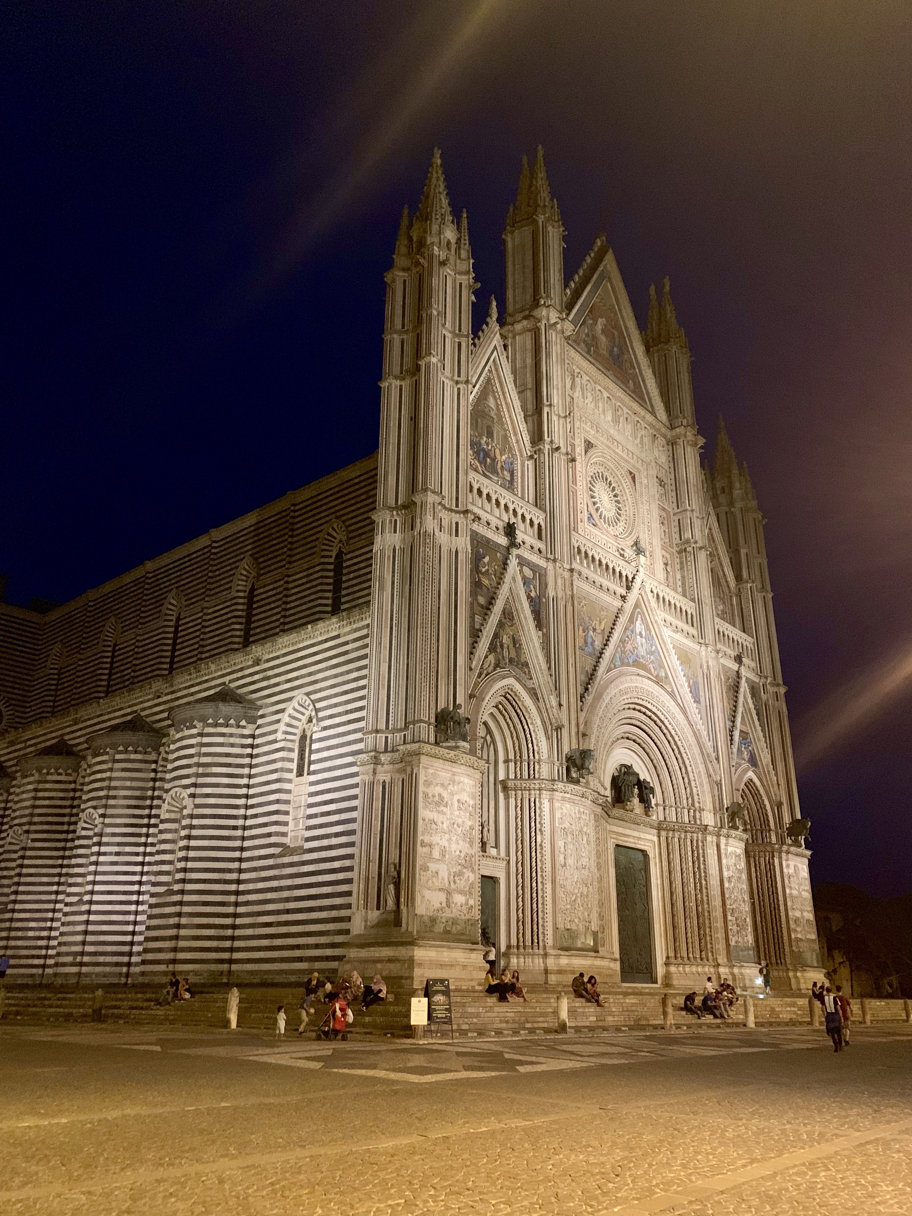 The cathedral lit up after dark