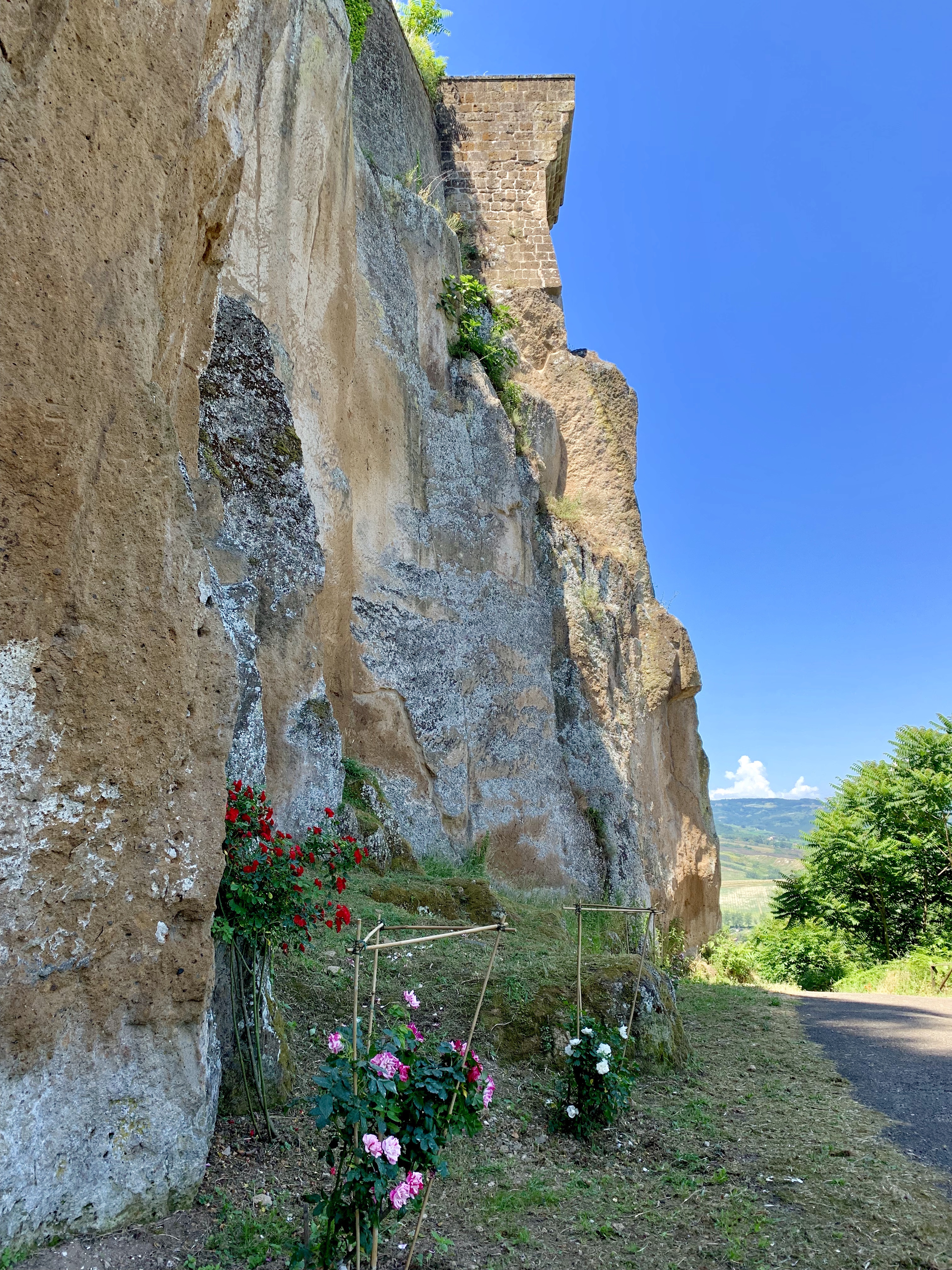 Little rose garden below the rock