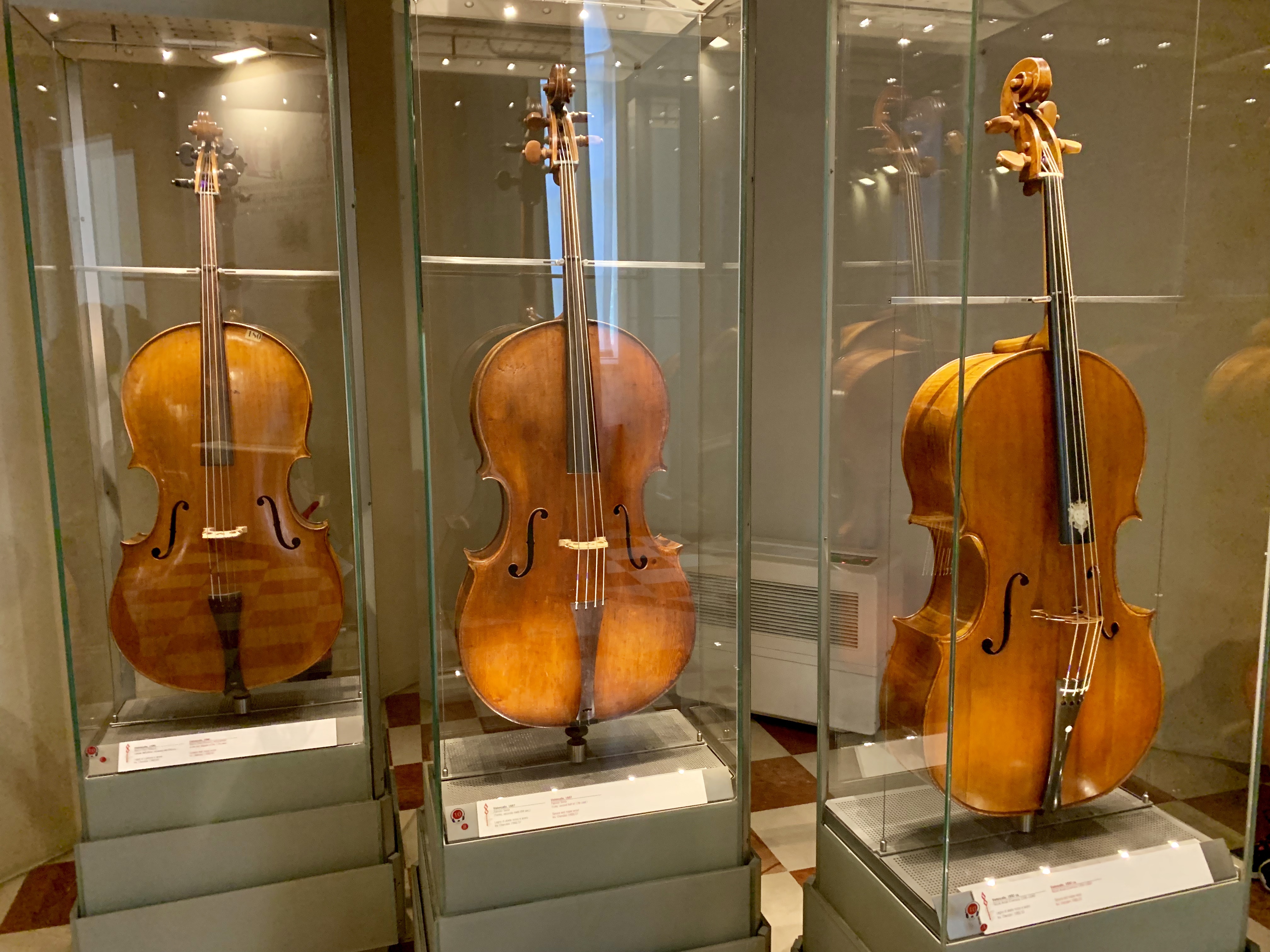 Cellos from the 15th & 16th centuries