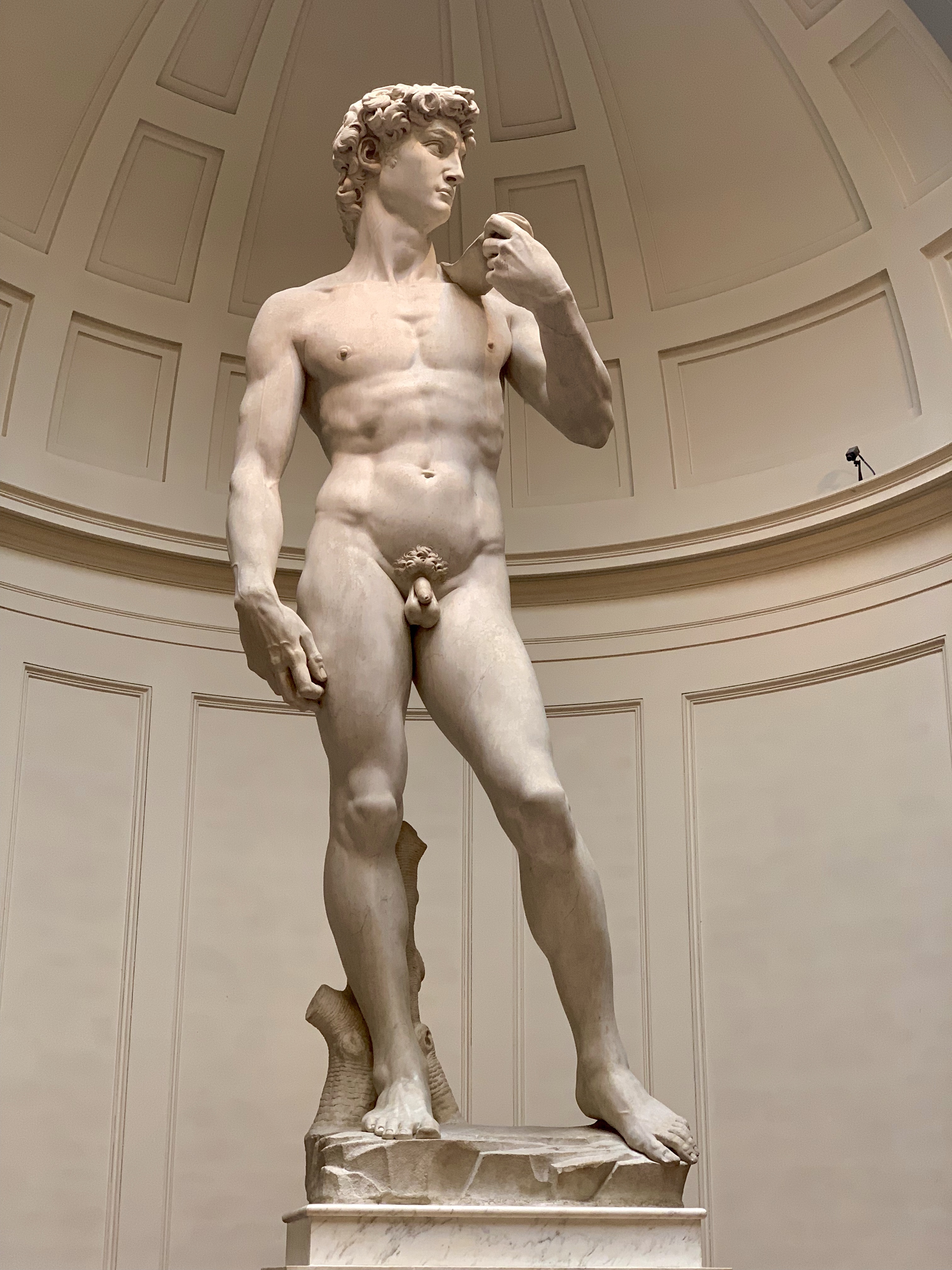 Michelango’s “David”, in all its glory