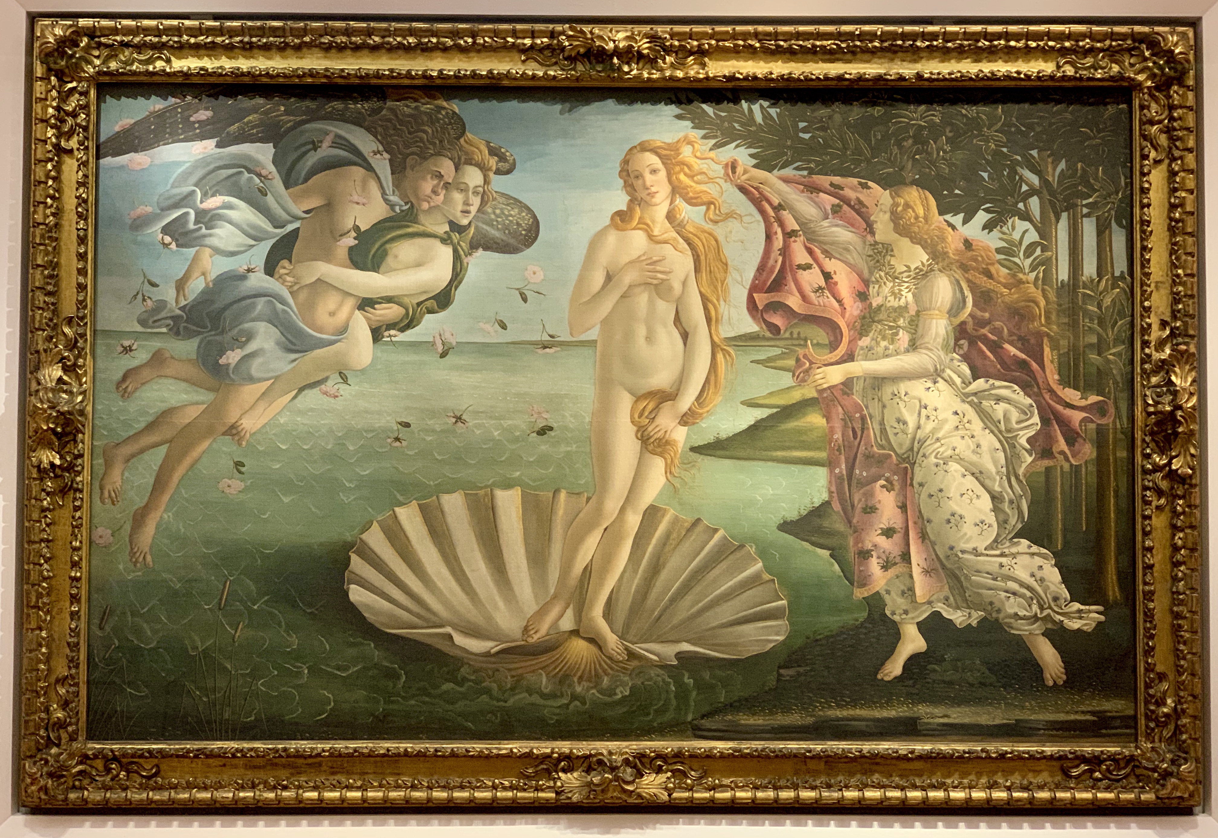 Botticelli’s gorgeous “Birth of Venus”, in the Uffizi Gallery in Florence
