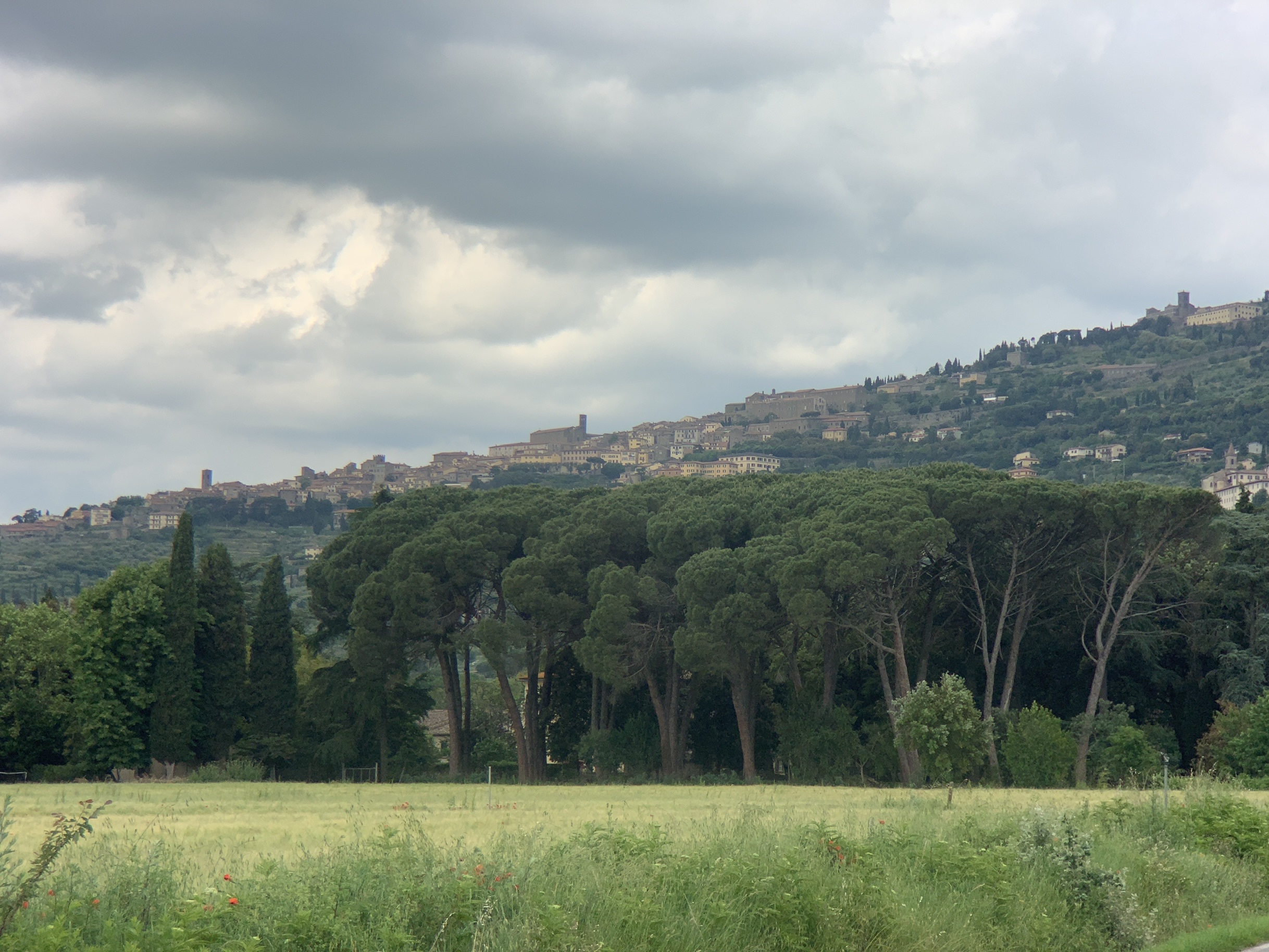 Cortona from the valley